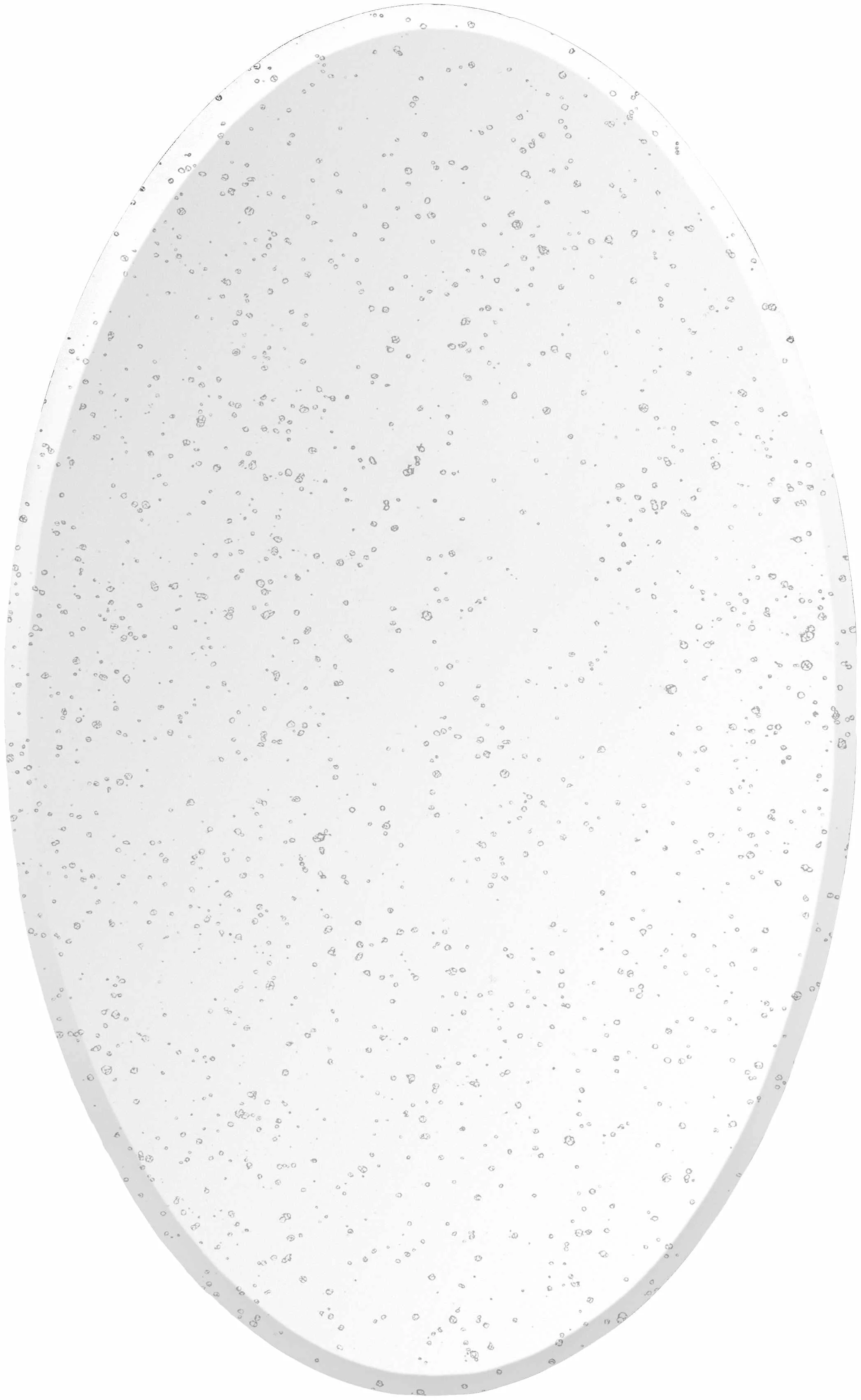 Tunga Mirror - Clearance - Image 11