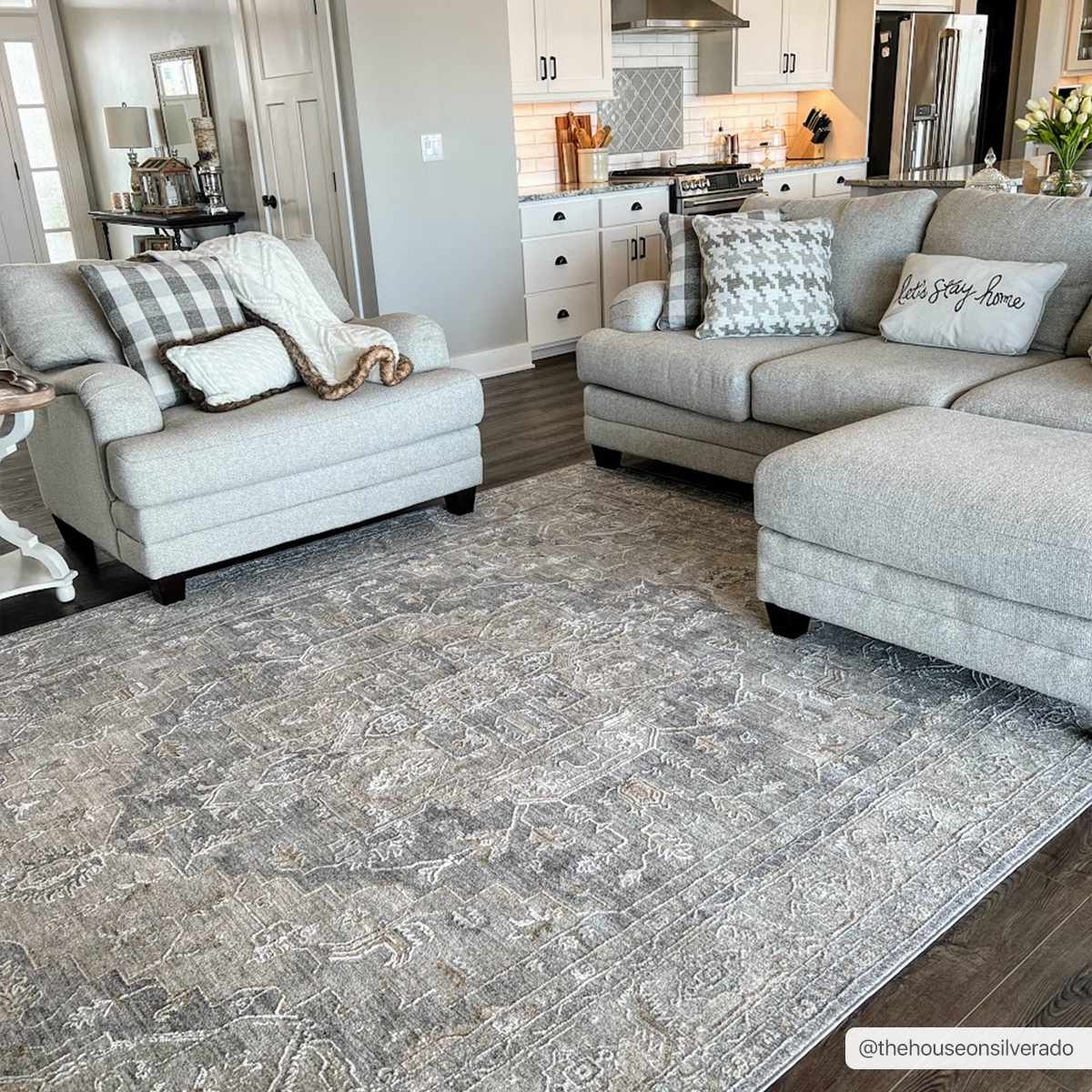 Ulubey Distressed Gray Area Rug - Image 2