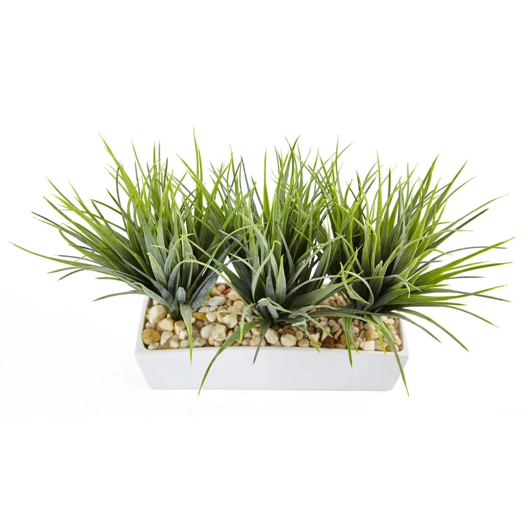 Vanilla Grass in Rectangular Planter - Image 2