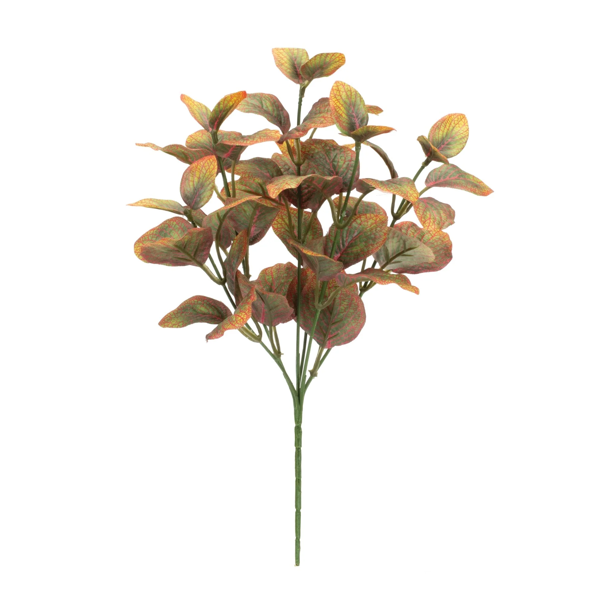Variegated foliage plant (set of 6) - Image 2