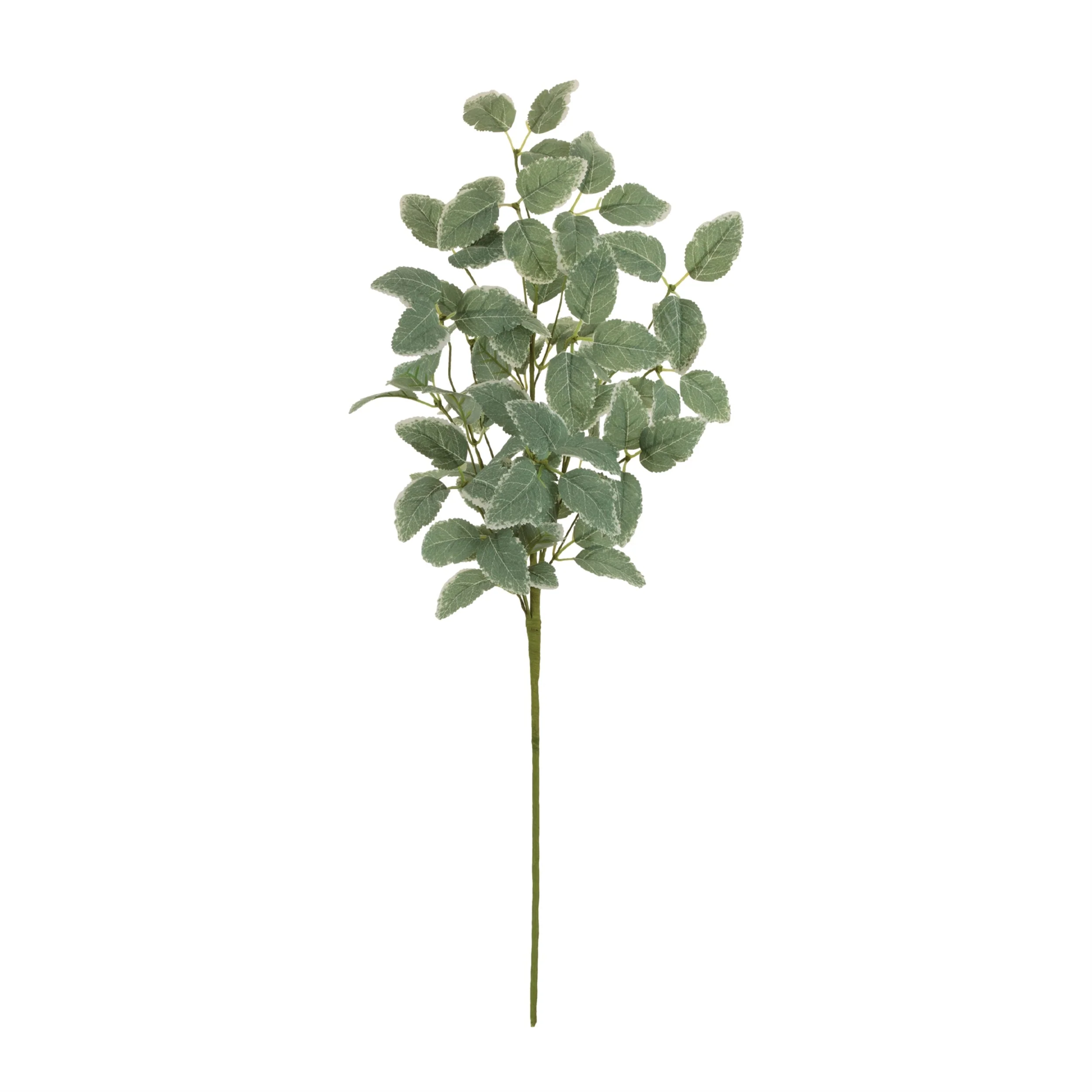 Variegated Foliage Spray (Set of 2) - Image 2