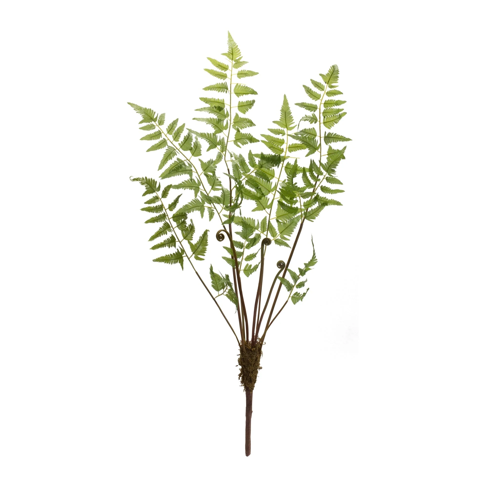 Varigated Fern Bundle with Sprout Accents (Set of 6) - Image 3
