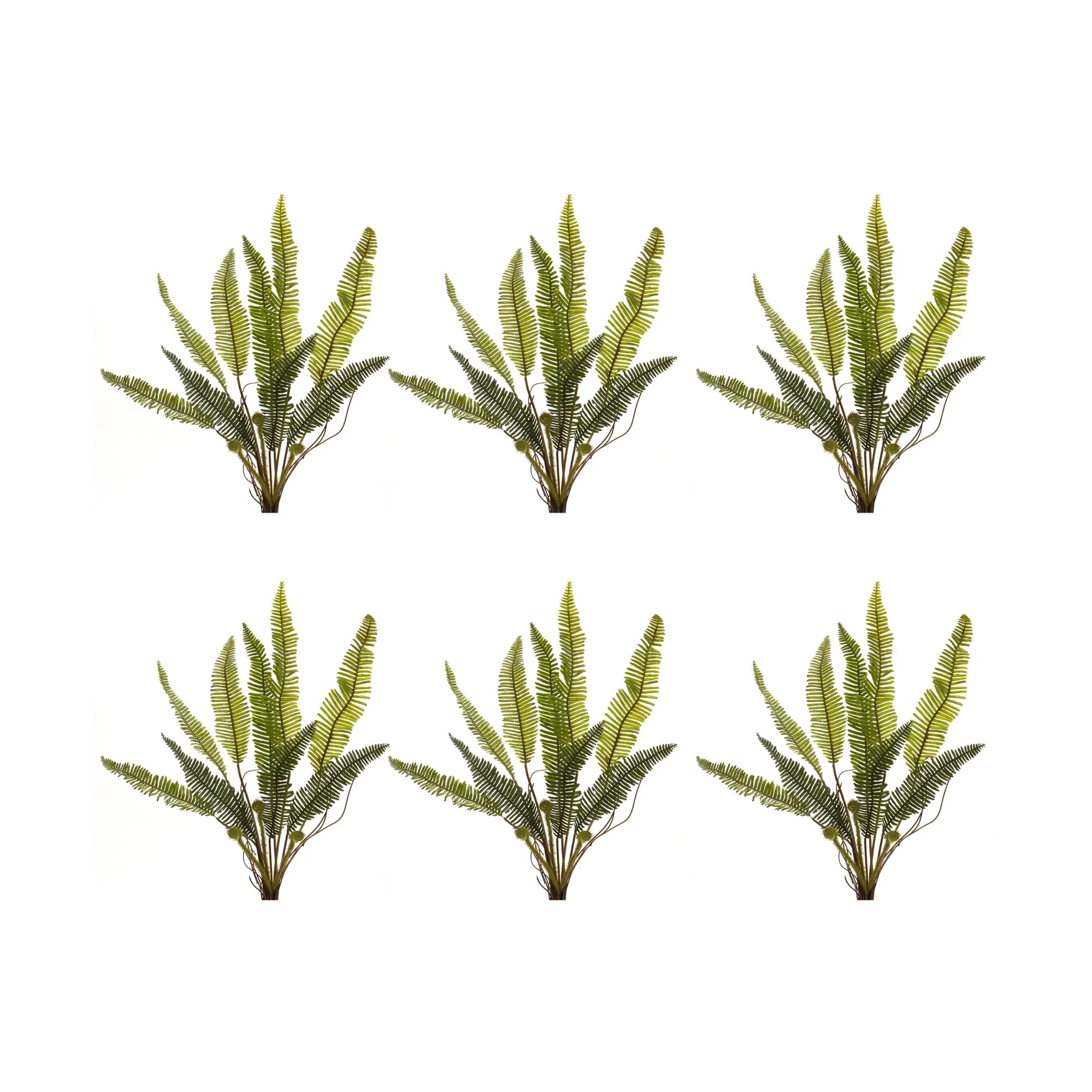 Varigated Fern Foliage Bush (Set of 6)
