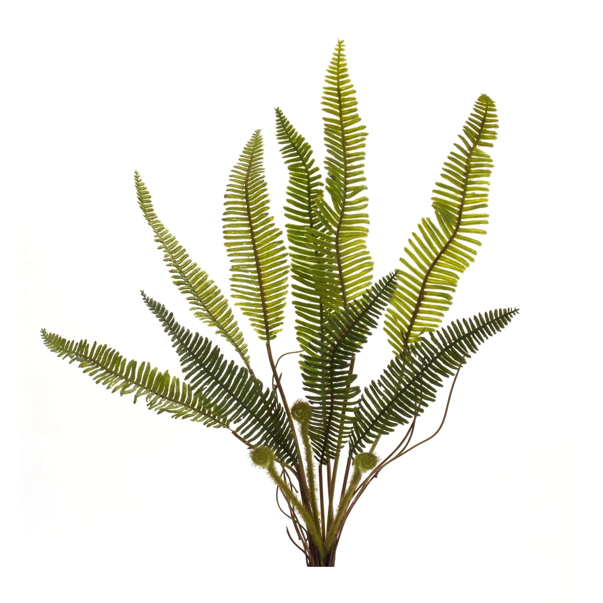 Varigated Fern Foliage Bush (Set of 6) - Image 2