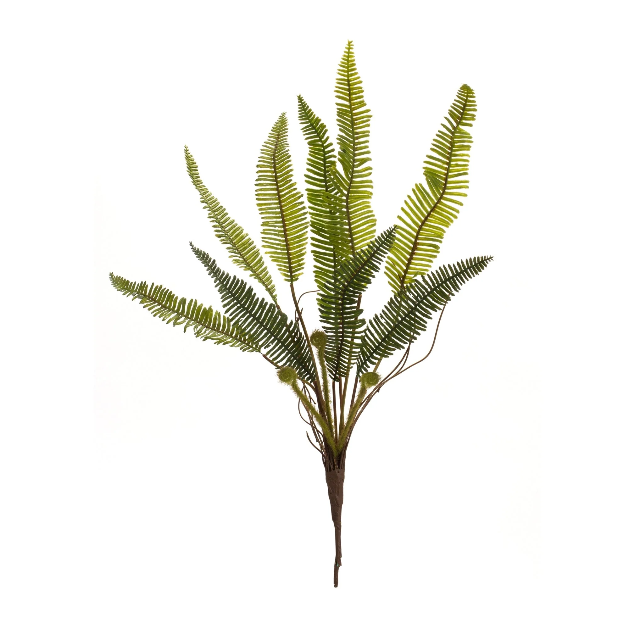 Varigated Fern Foliage Bush (Set of 6) - Image 3