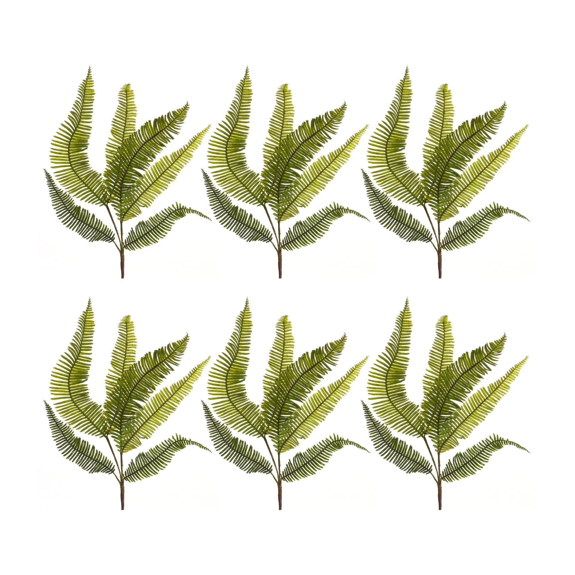 Varigated fern foliage spray (set of 6)
