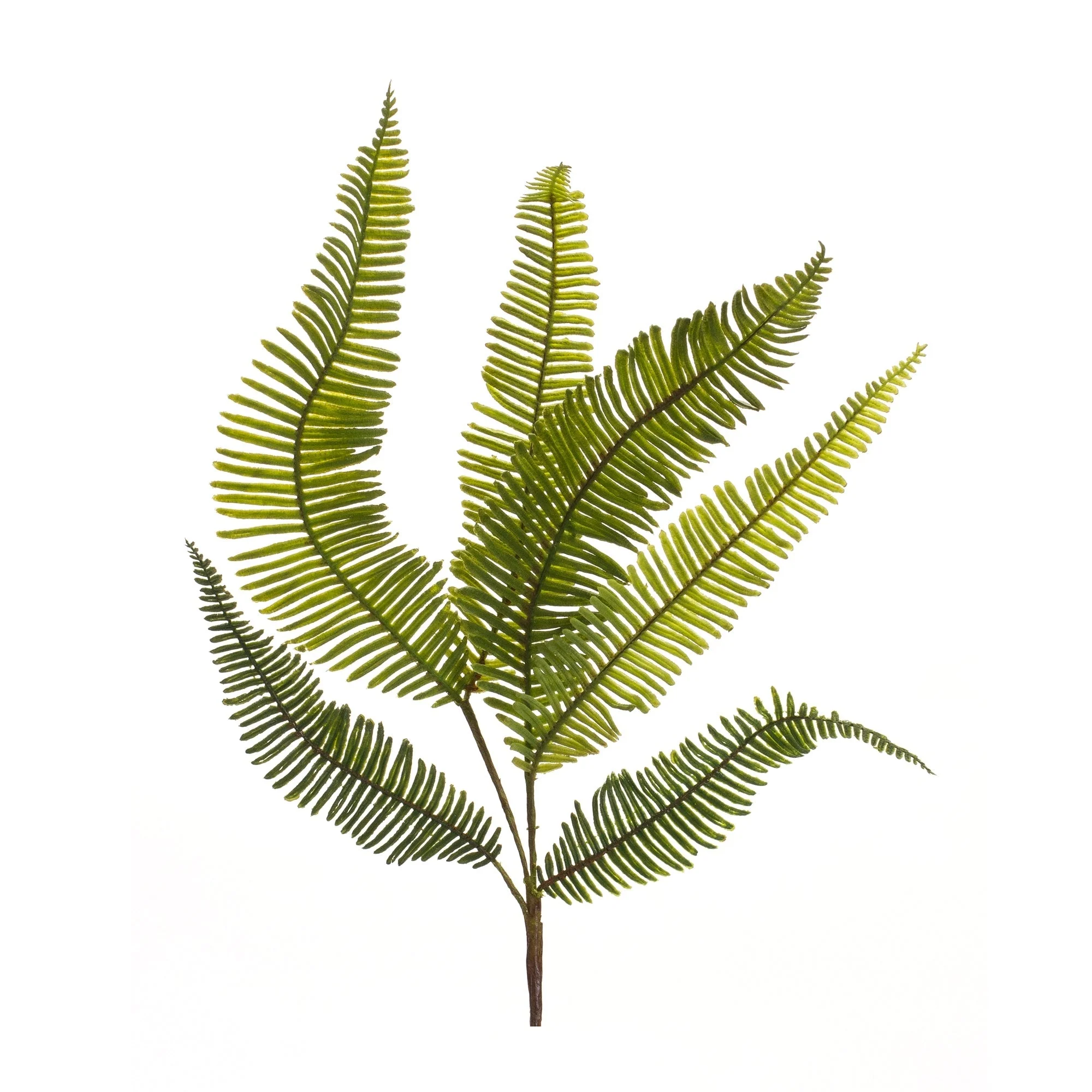 Varigated fern foliage spray (set of 6) - Image 2