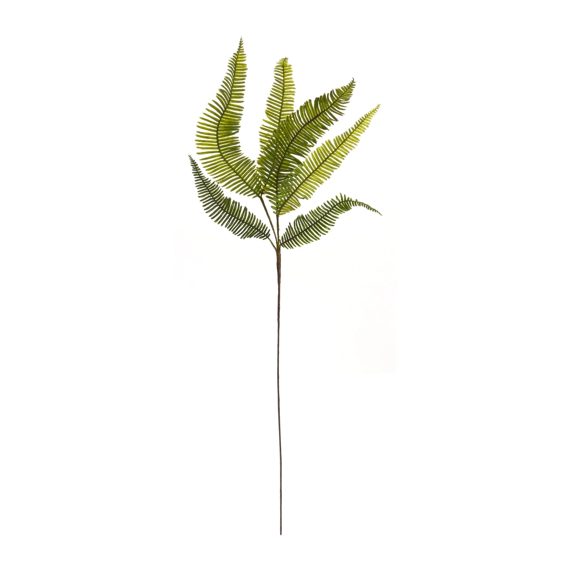 Varigated fern foliage spray (set of 6) - Image 3