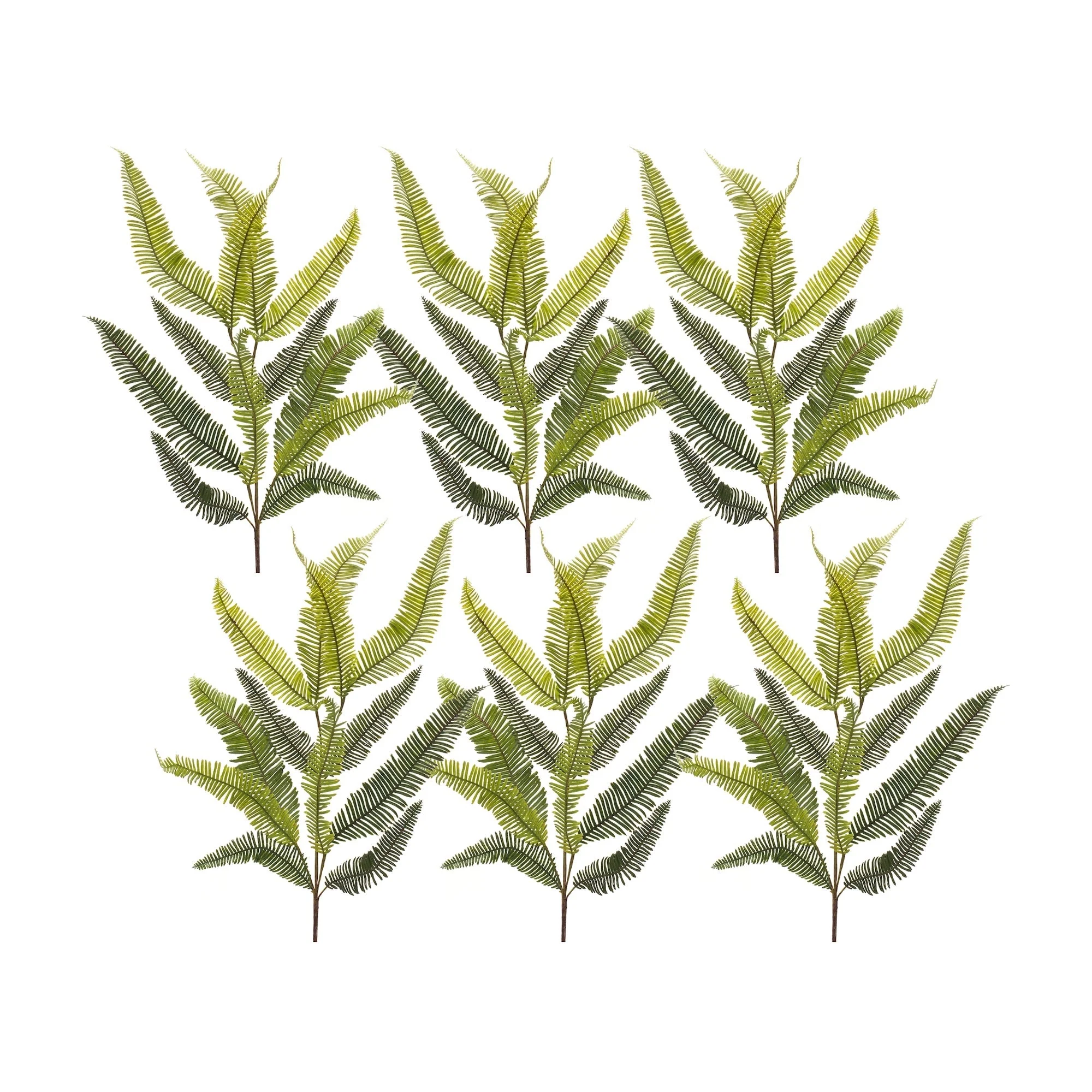 Varigated Fern Foliage Spray (Set of 6)