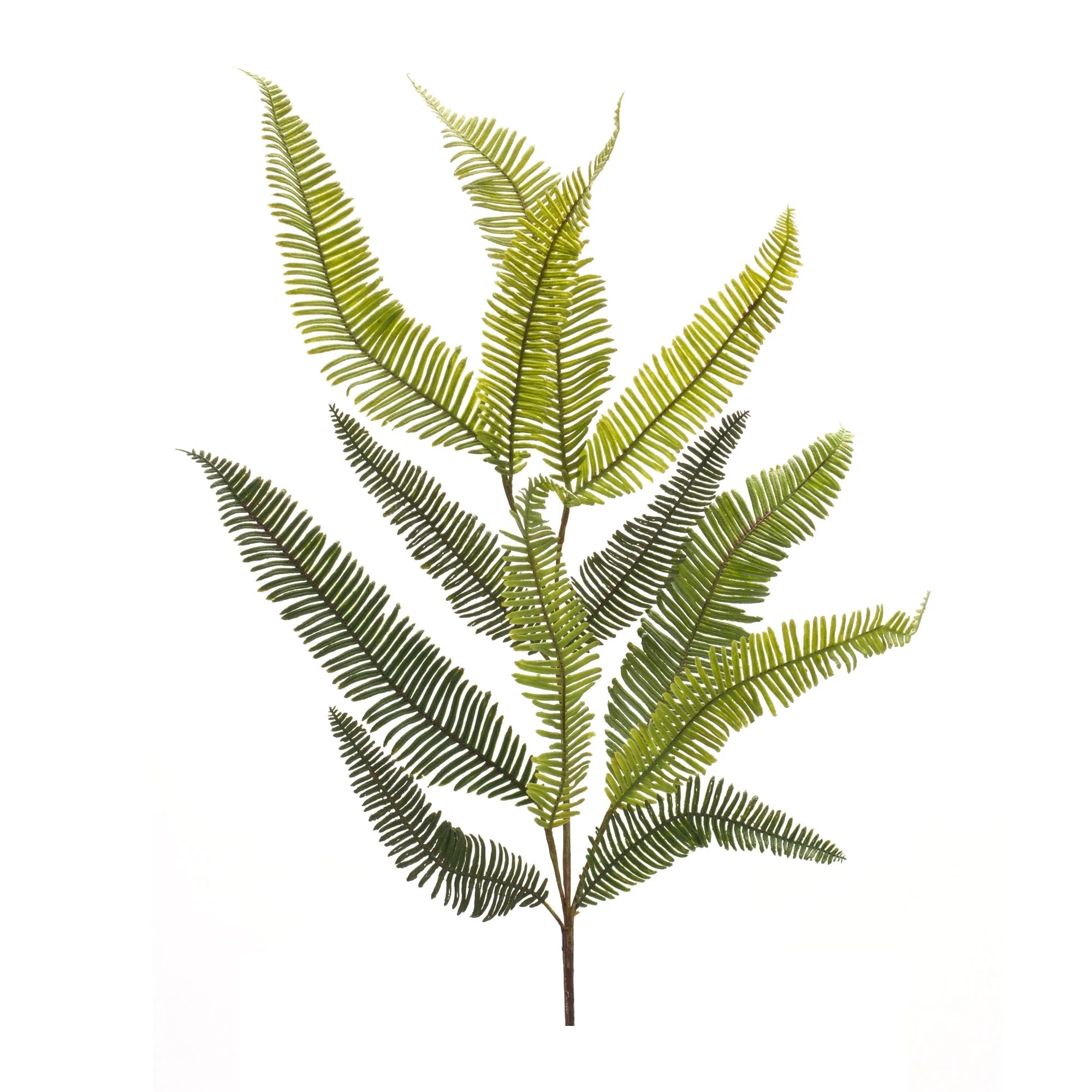 Varigated Fern Foliage Spray (Set of 6) - Image 2