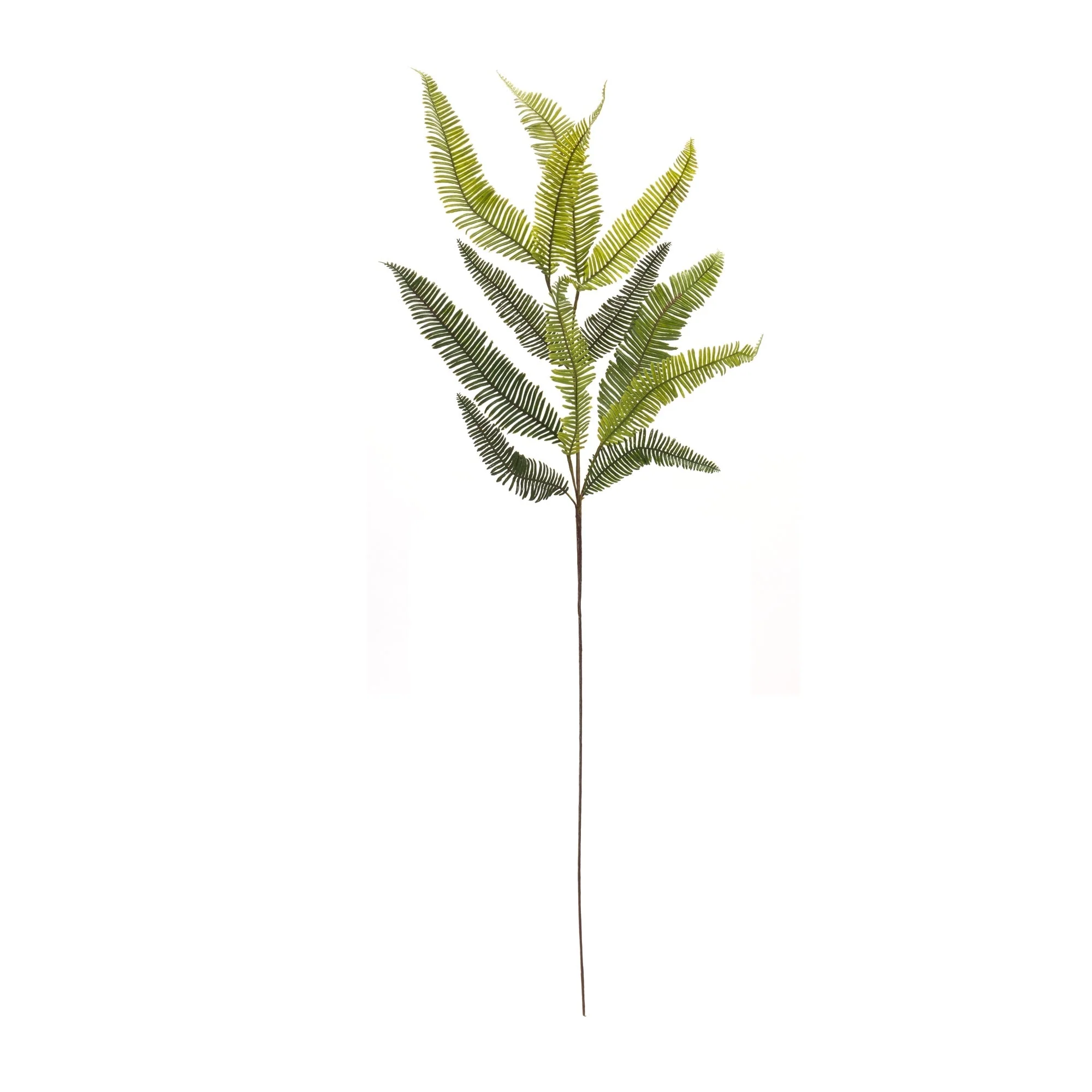 Varigated Fern Foliage Spray (Set of 6) - Image 3