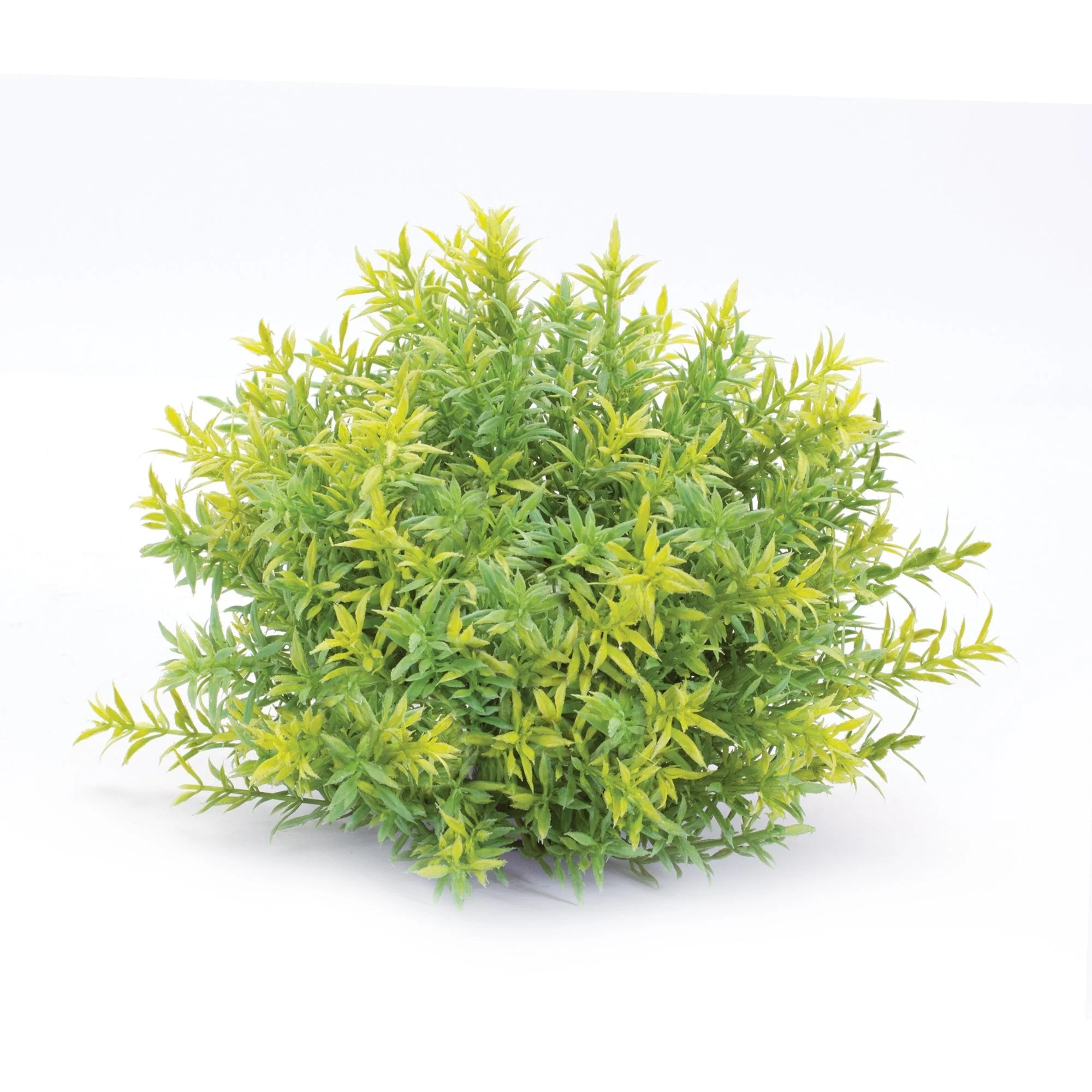 Varigated Mini Leaf Half Orb (Set of 6) - Image 4