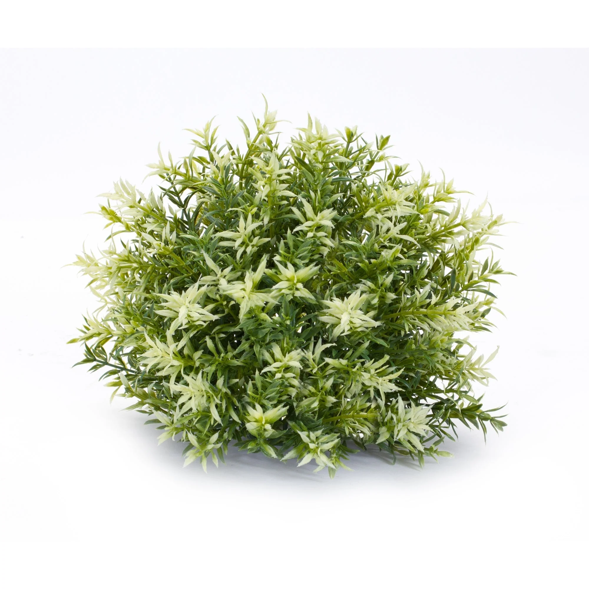 Varigated Mini Leaf Half Orb (Set of 6) - Image 5