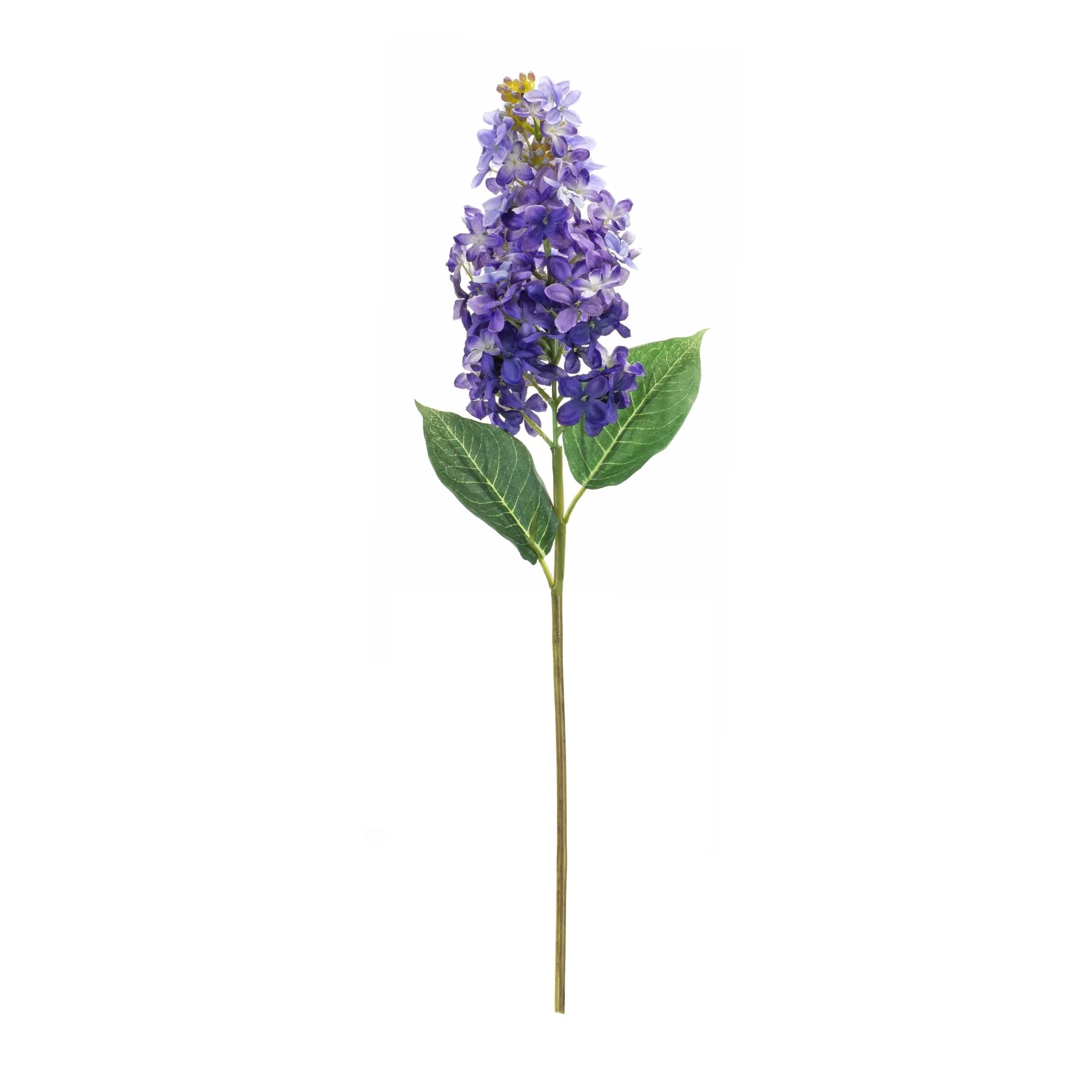Varigated purple lilac flower stem (set of 6) - Image 3