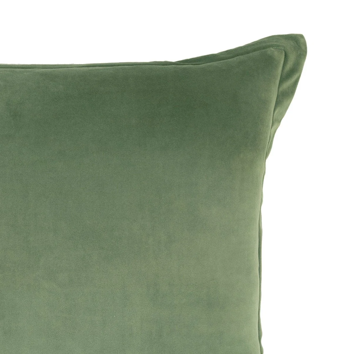 Velvet Dreams Euro Sham Cover 2 Piece Set - Image 14