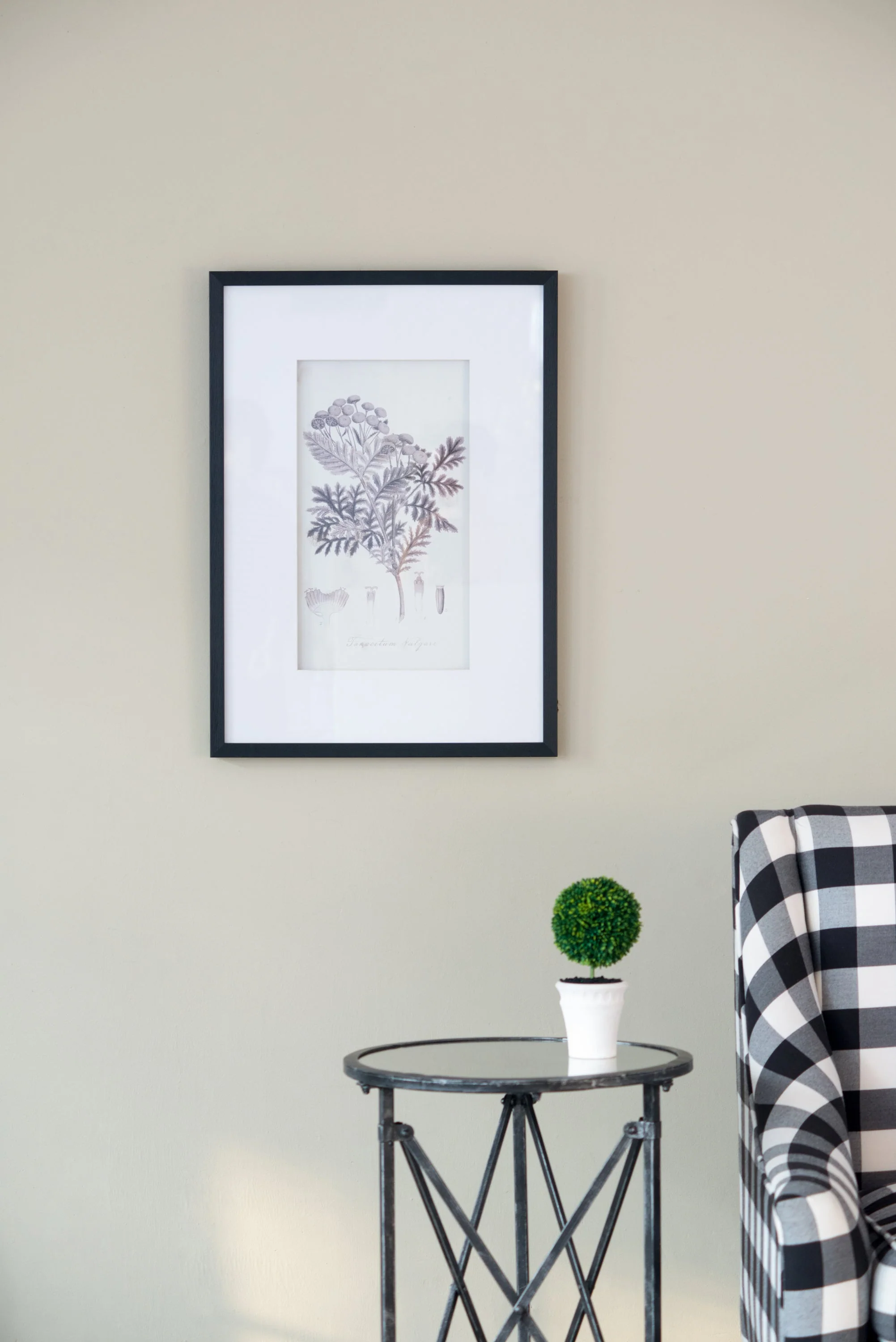 Verdura Botanica: Four-Print Houseplant Pencil Art Set - Image 10