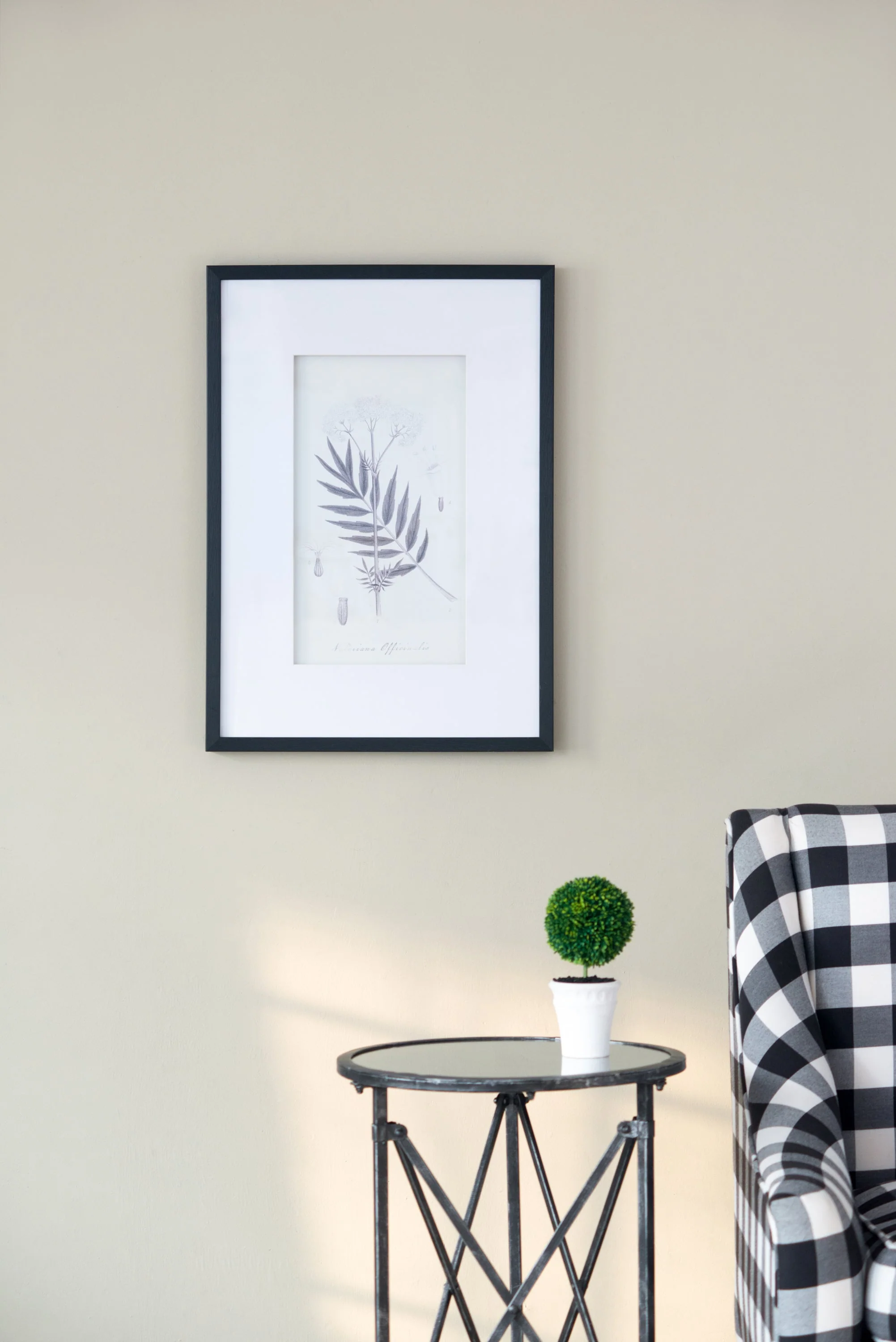 Verdura Botanica: Four-Print Houseplant Pencil Art Set - Image 11