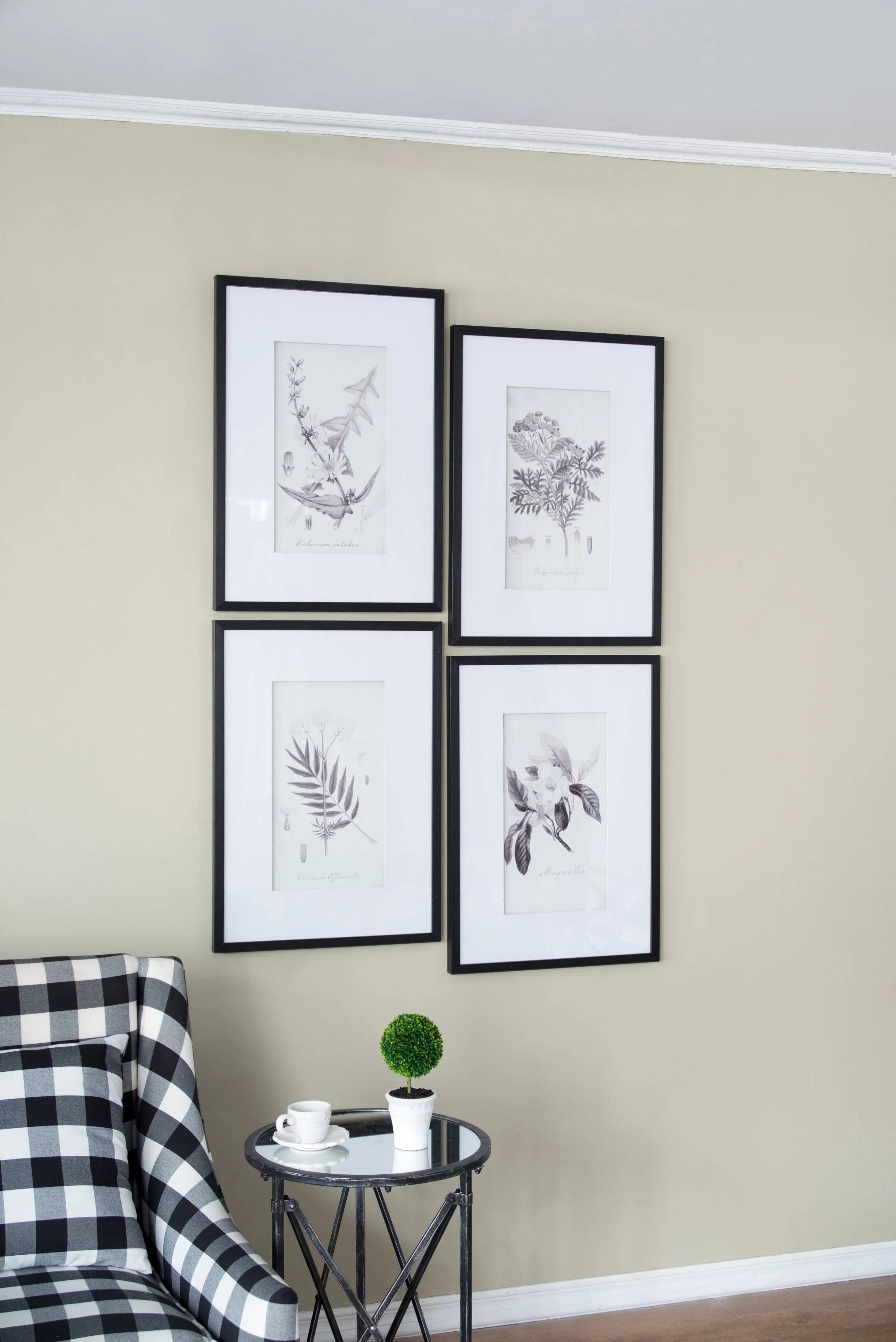 Verdura Botanica: Four-Print Houseplant Pencil Art Set - Image 18