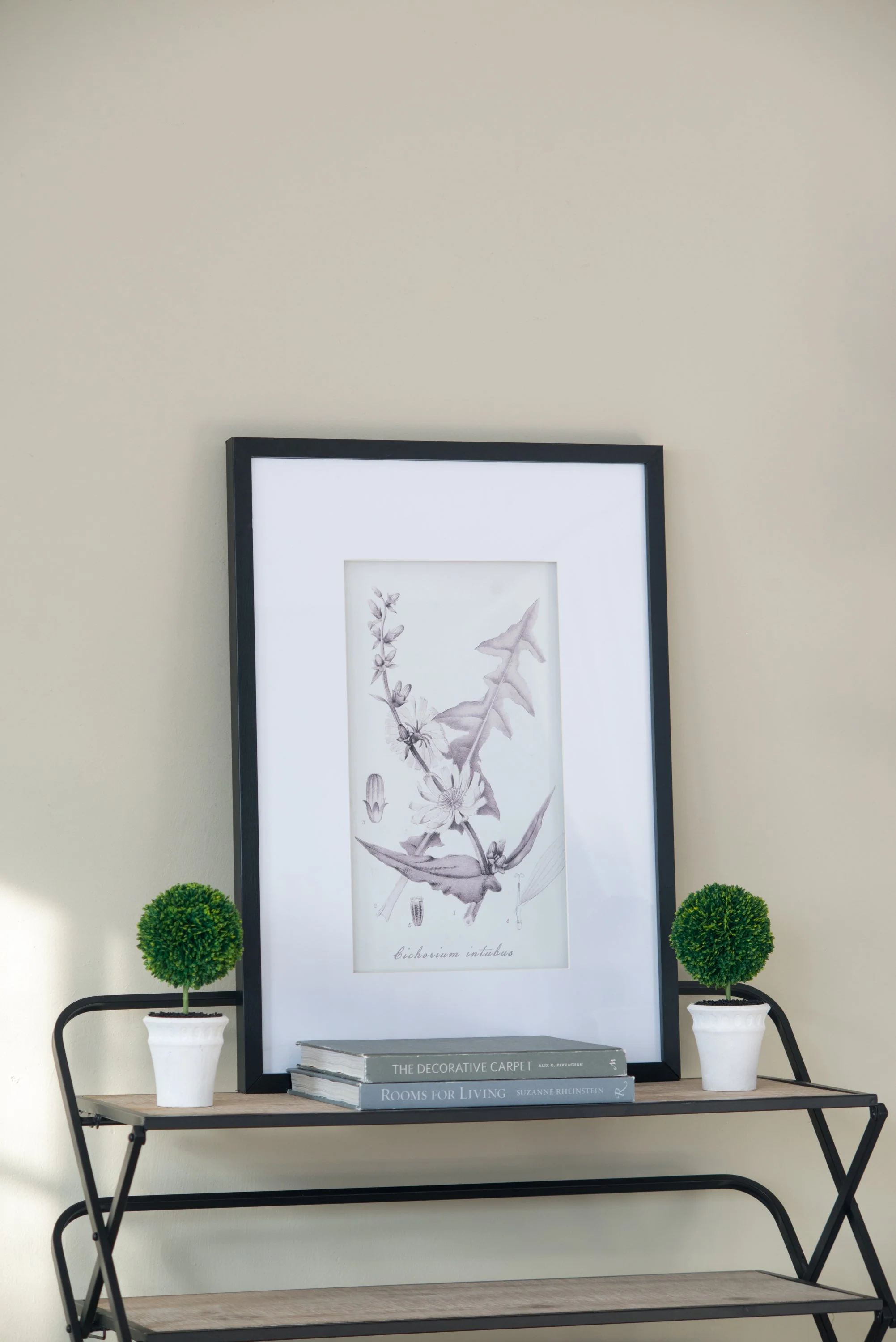 Verdura Botanica: Four-Print Houseplant Pencil Art Set - Image 19
