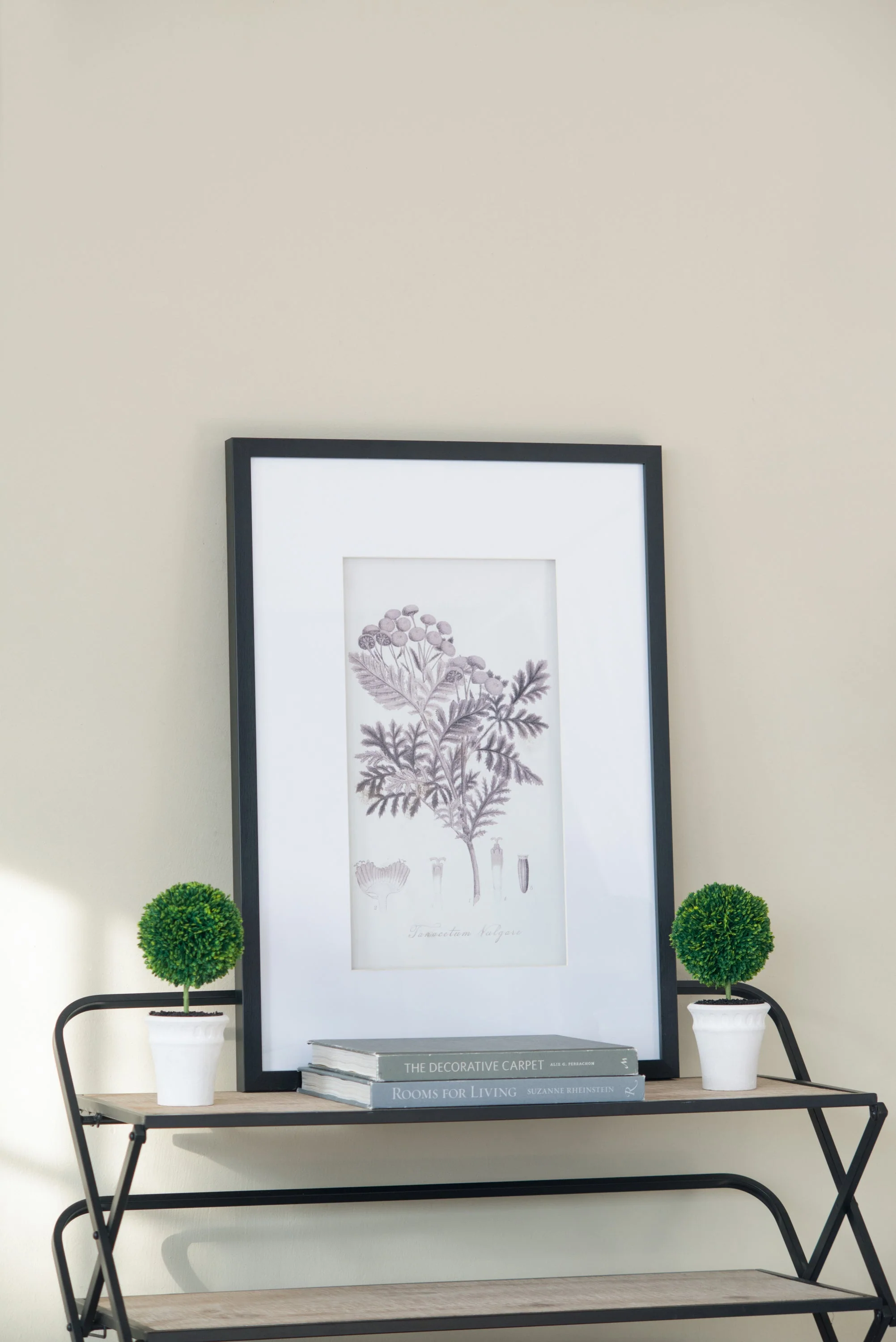 Verdura Botanica: Four-Print Houseplant Pencil Art Set - Image 20