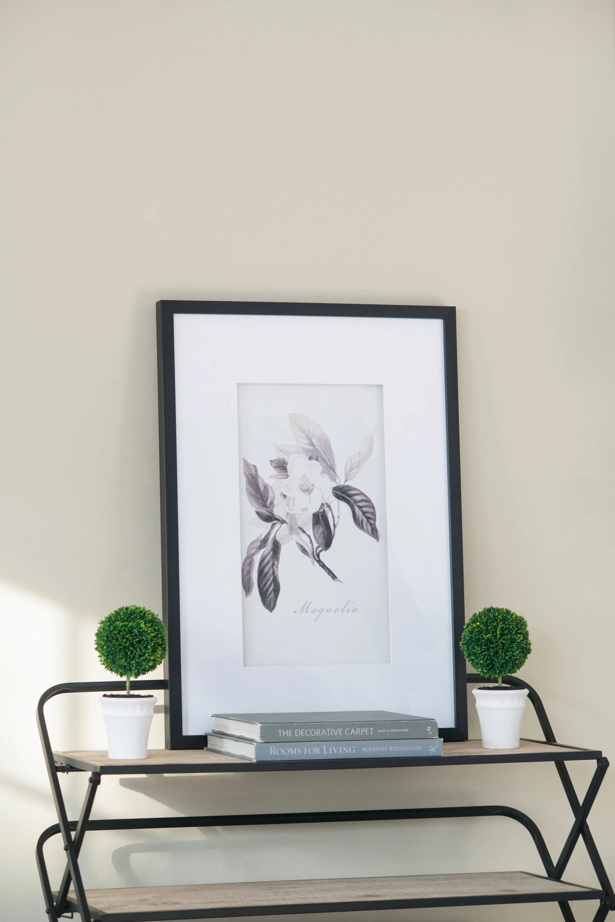 Verdura Botanica: Four-Print Houseplant Pencil Art Set - Image 21