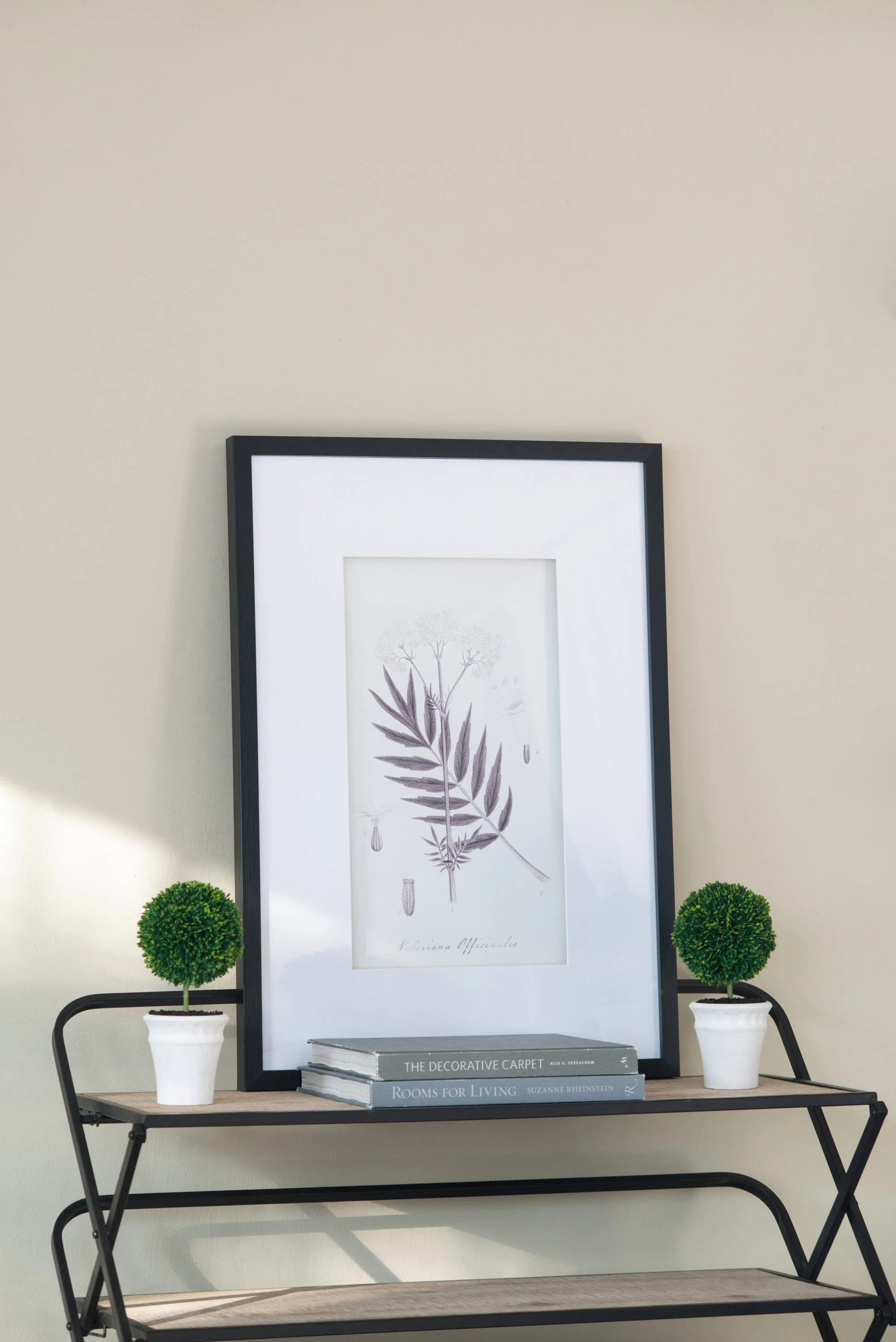 Verdura Botanica: Four-Print Houseplant Pencil Art Set - Image 22