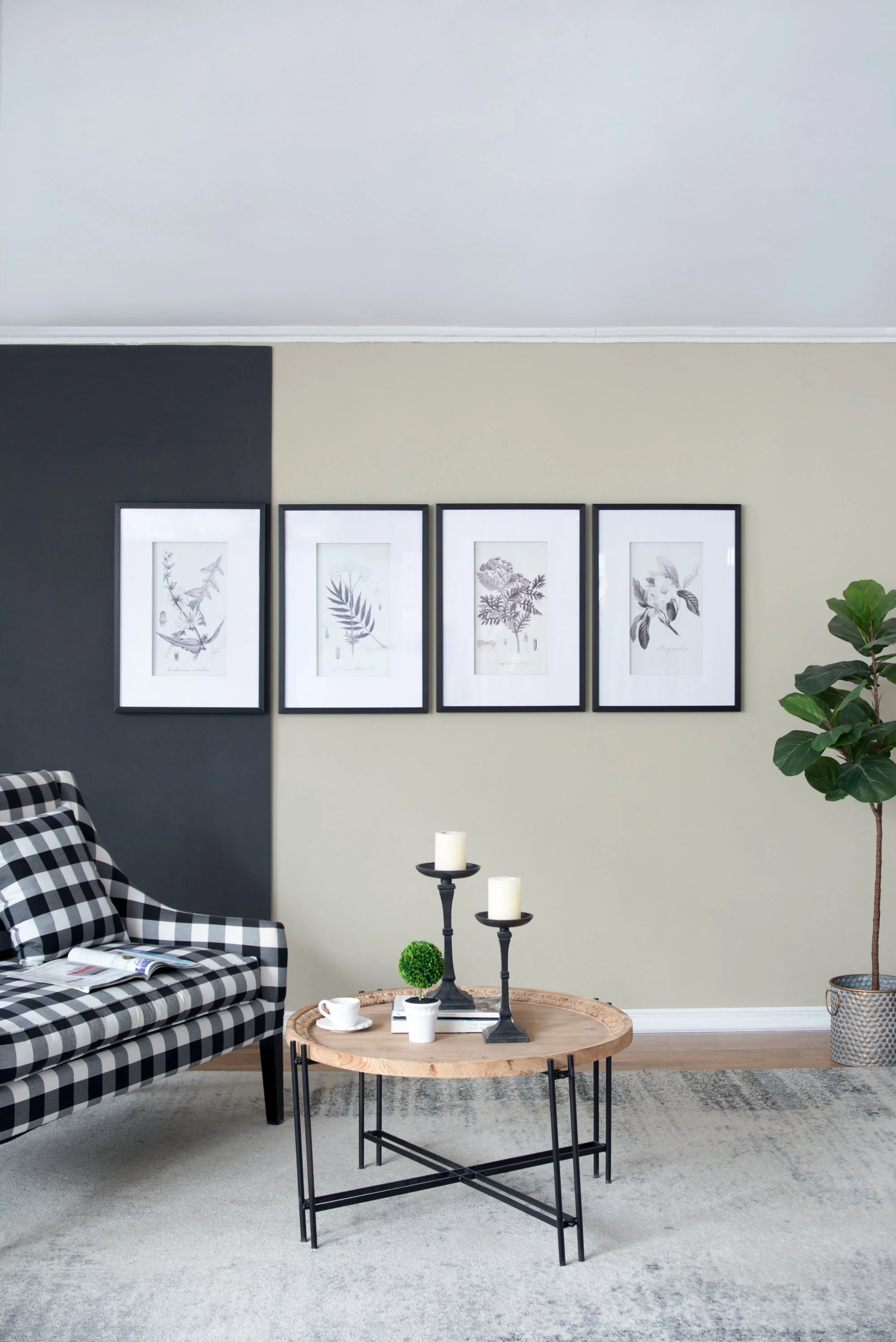 Verdura Botanica: Four-Print Houseplant Pencil Art Set - Image 4