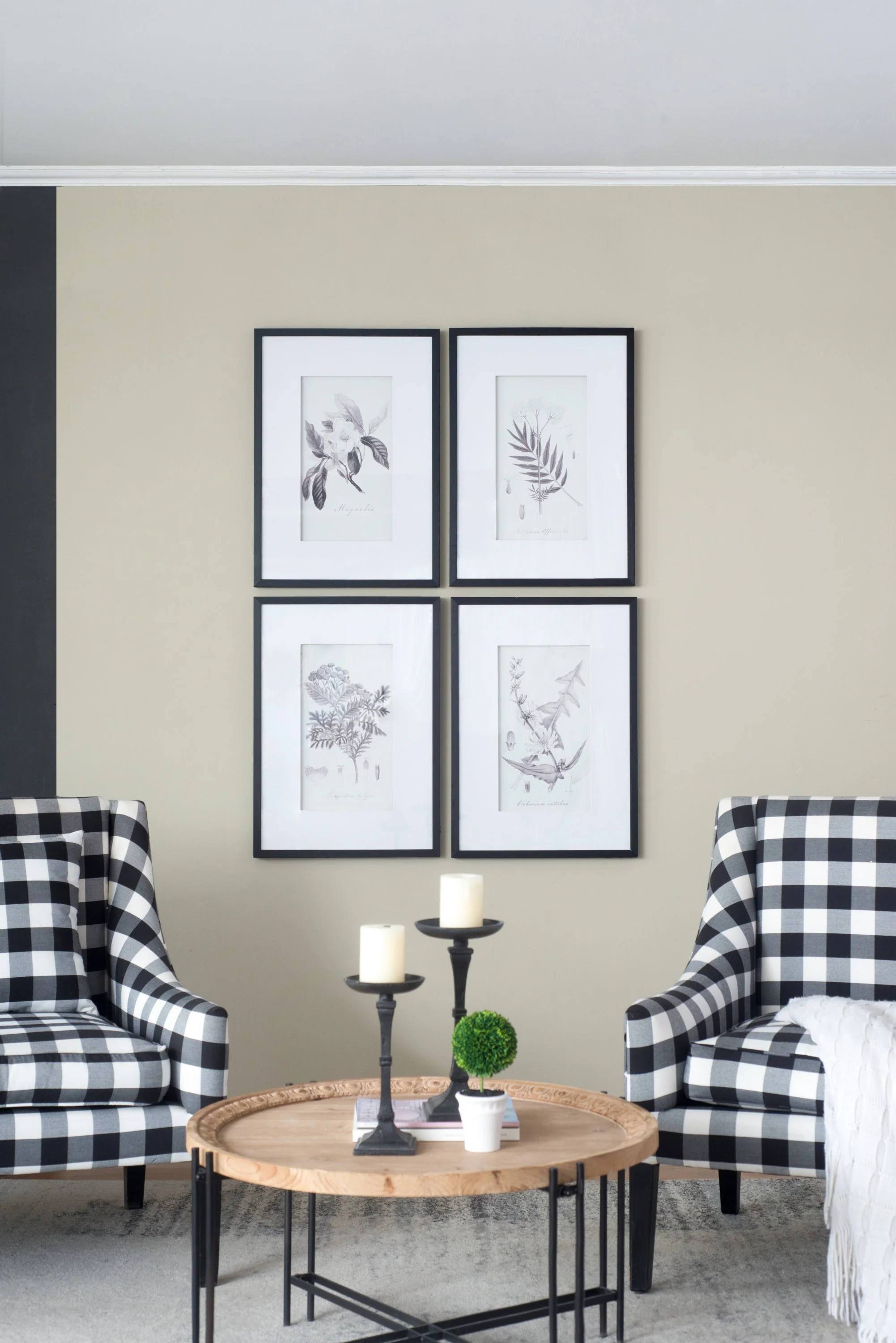 Verdura Botanica: Four-Print Houseplant Pencil Art Set - Image 5