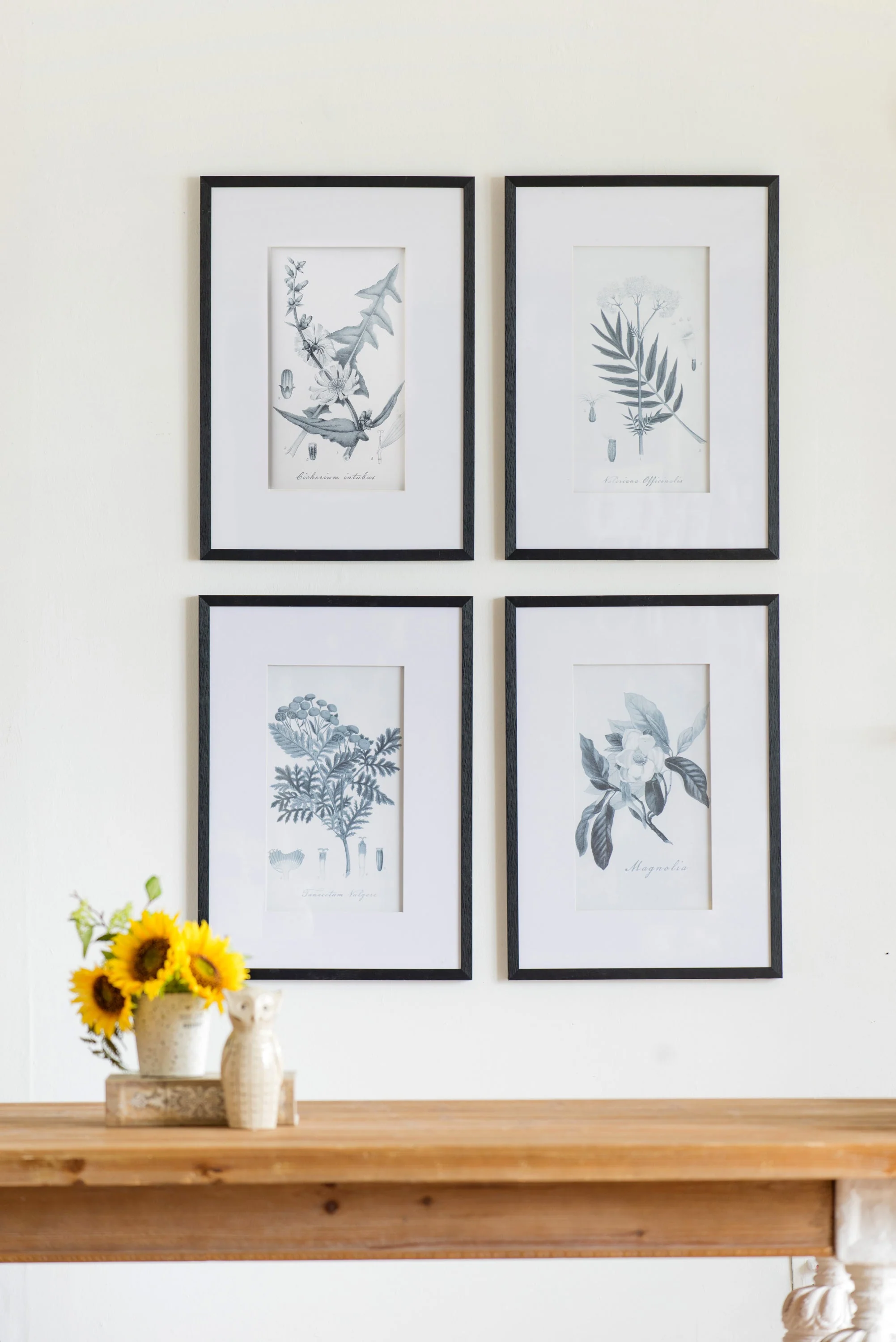Verdura Botanica: Four-Print Houseplant Pencil Art Set - Image 7