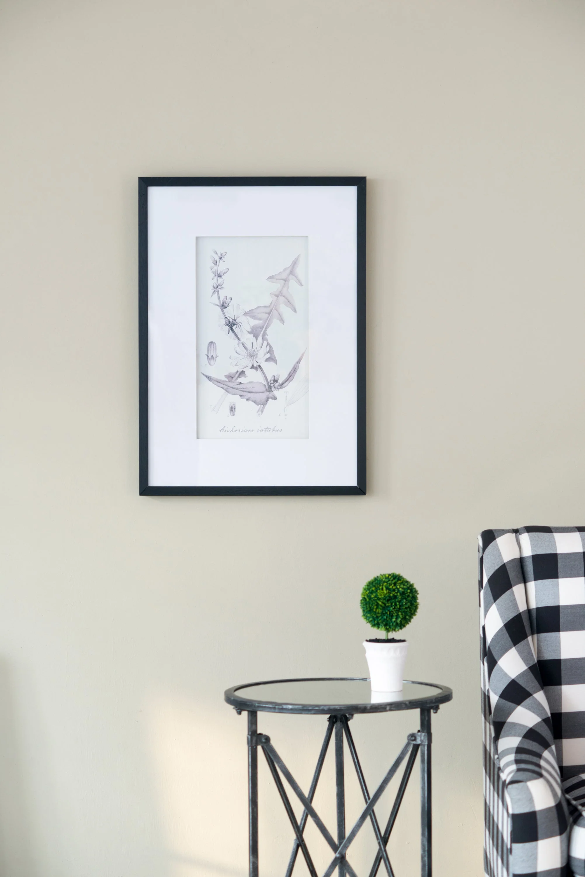 Verdura Botanica: Four-Print Houseplant Pencil Art Set - Image 9