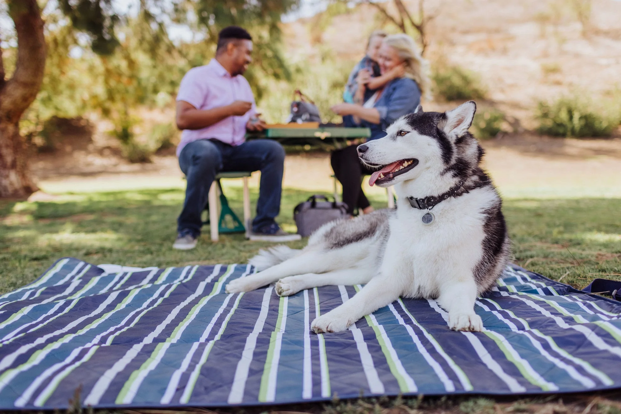 Vista Outdoor Picnic Blanket & Tote - Image 49