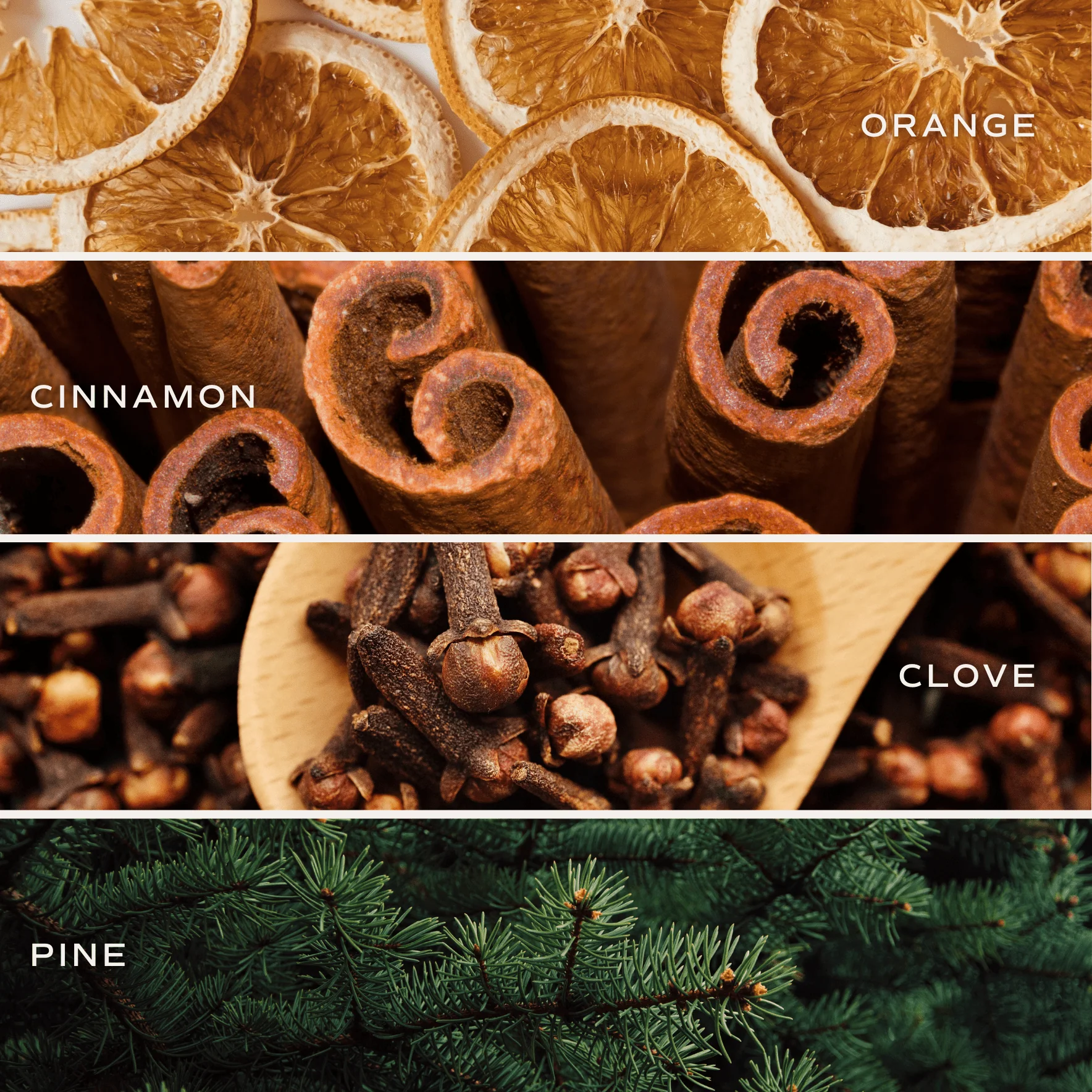 Warm and Cozy Amber Reed Diffuser - Image 8