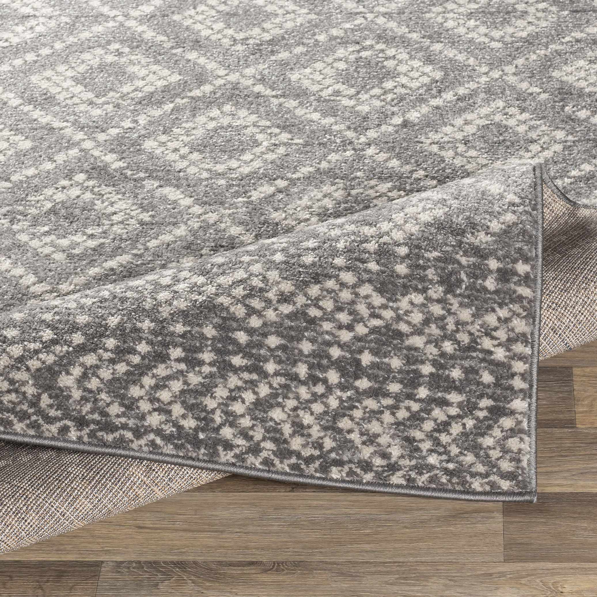Webb Area Rug - Clearance - Image 5