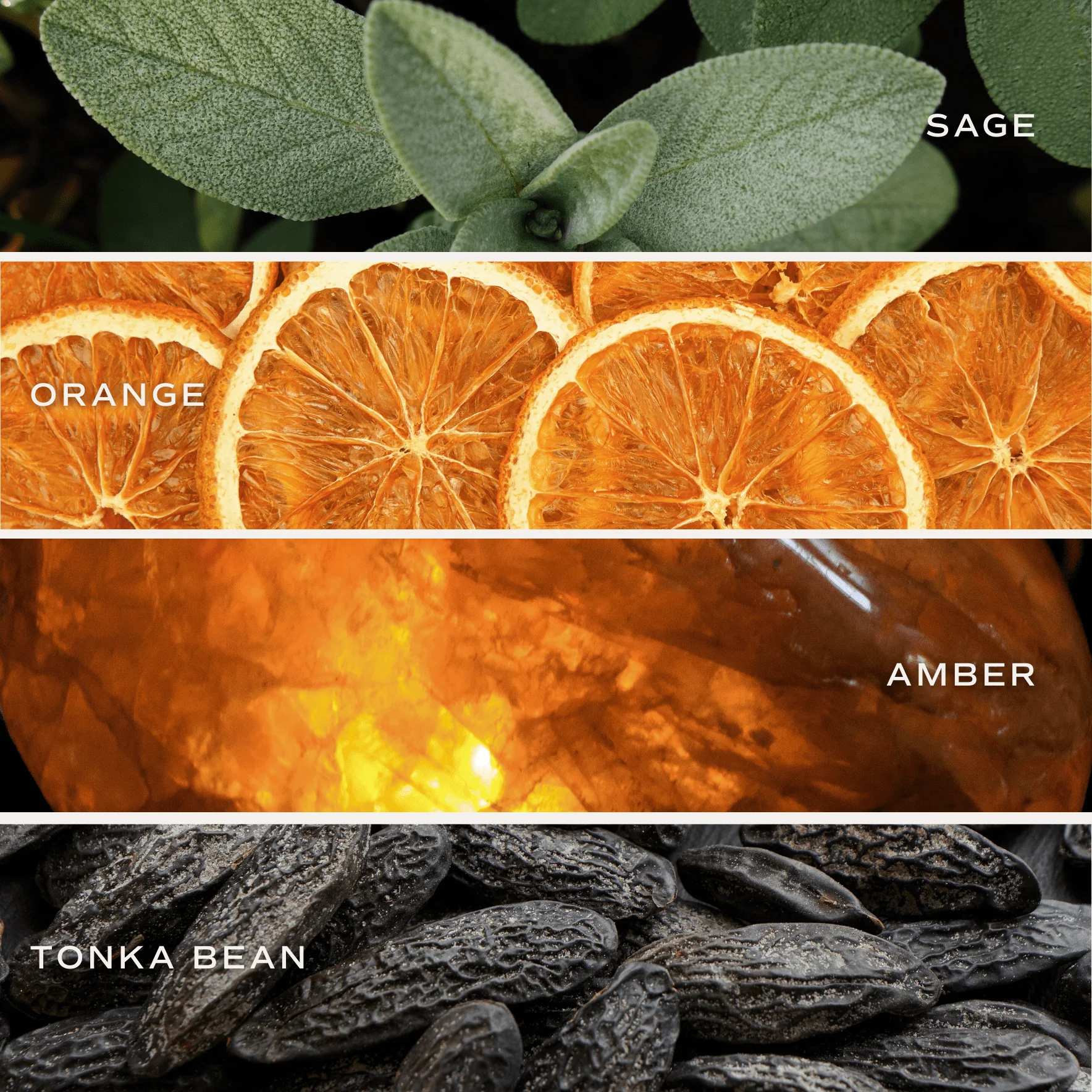 Weekend Clear Reed Diffuser - Image 7