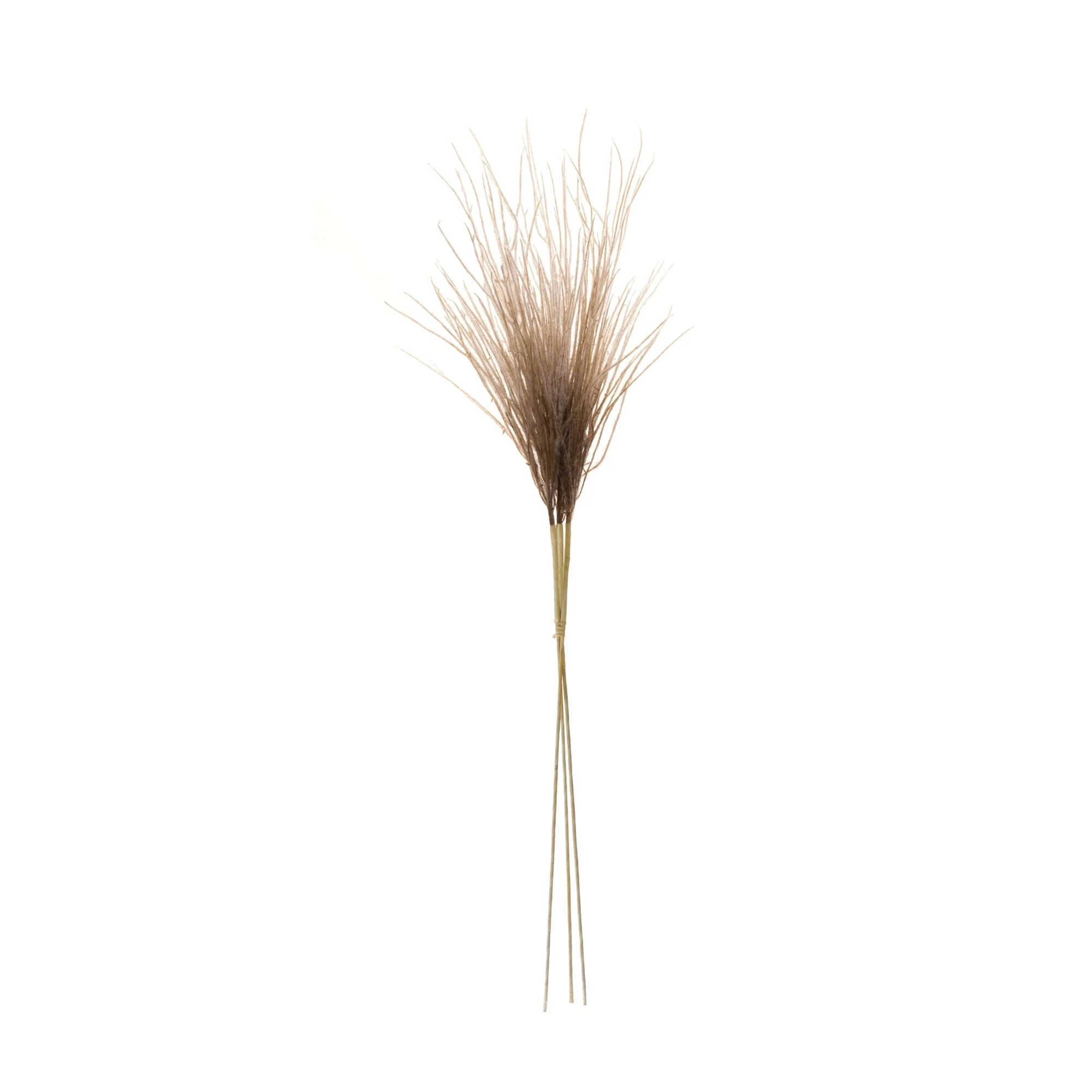White grass plume bundle (set of 2) - Image 2