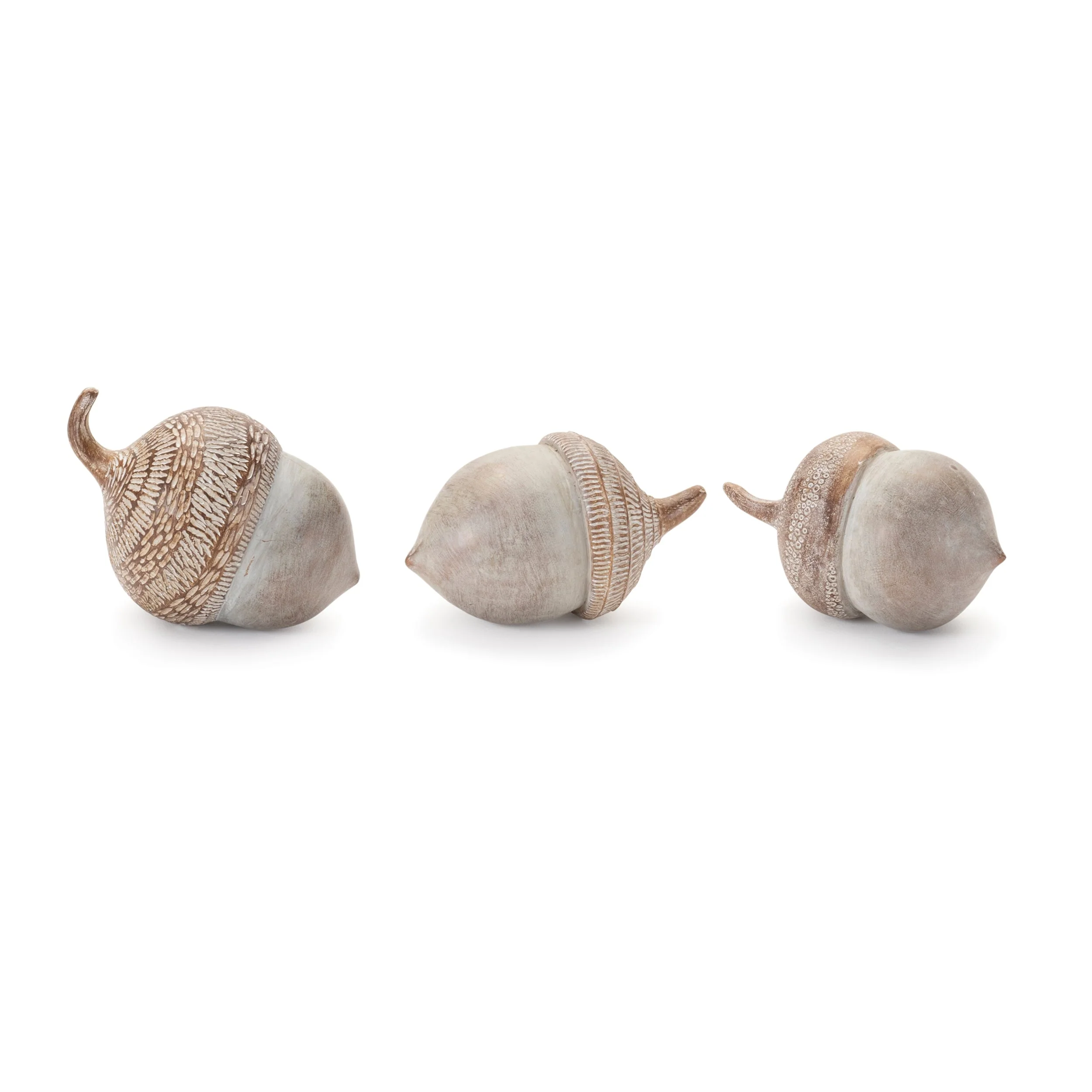 White Washed Etched Acorn (Set of 6) - Image 2