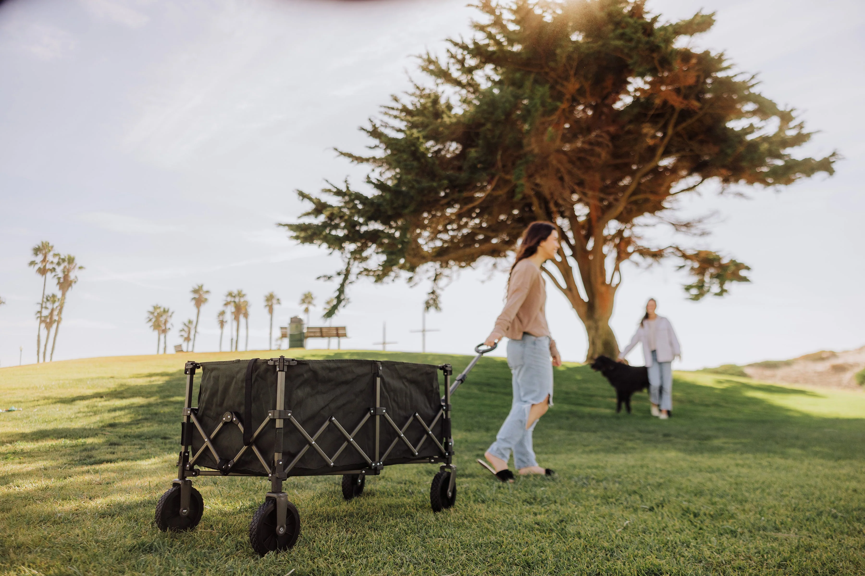 Wilderness Collapsible Folding Wagon - Image 13