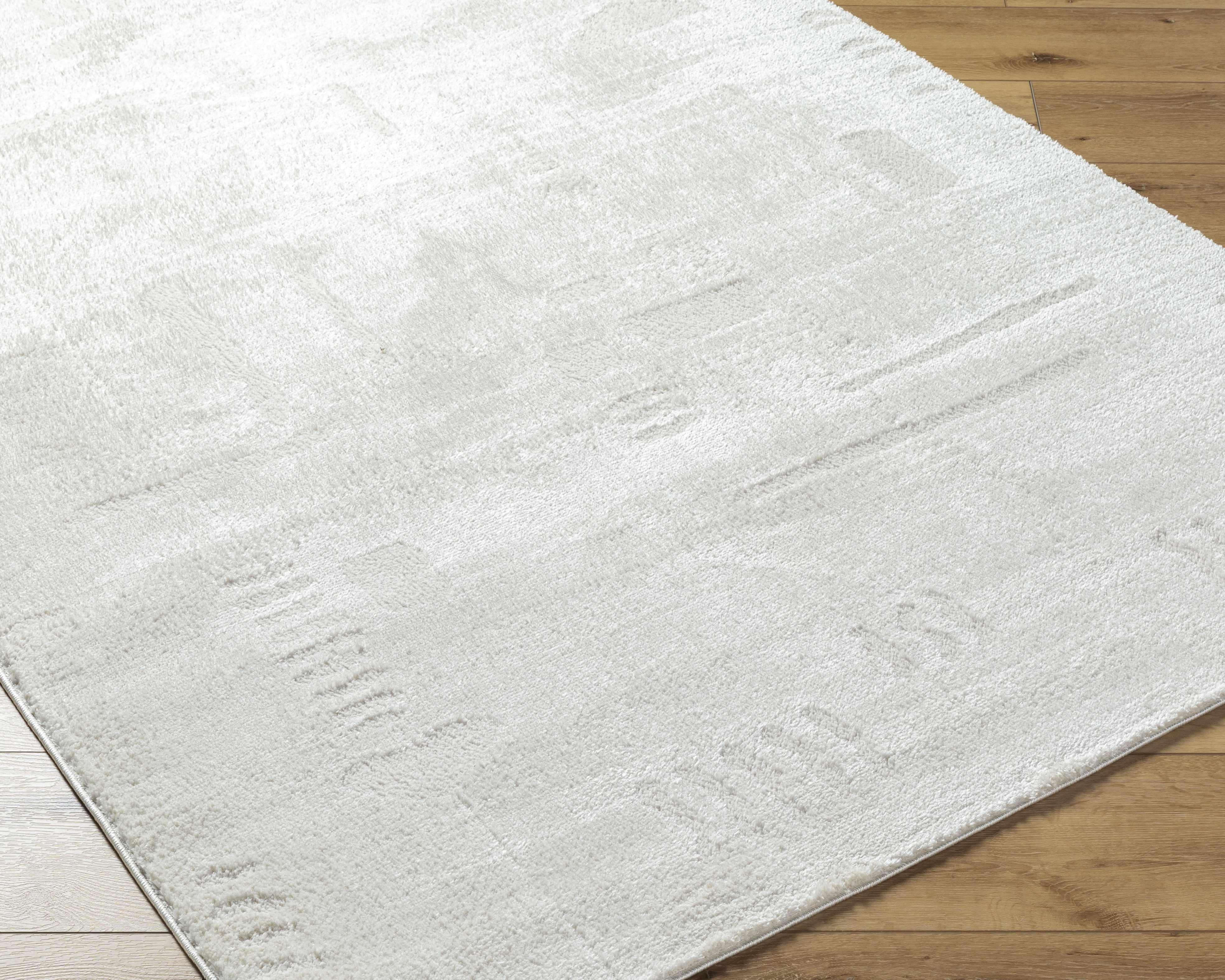 Winda Area Rug - Image 4