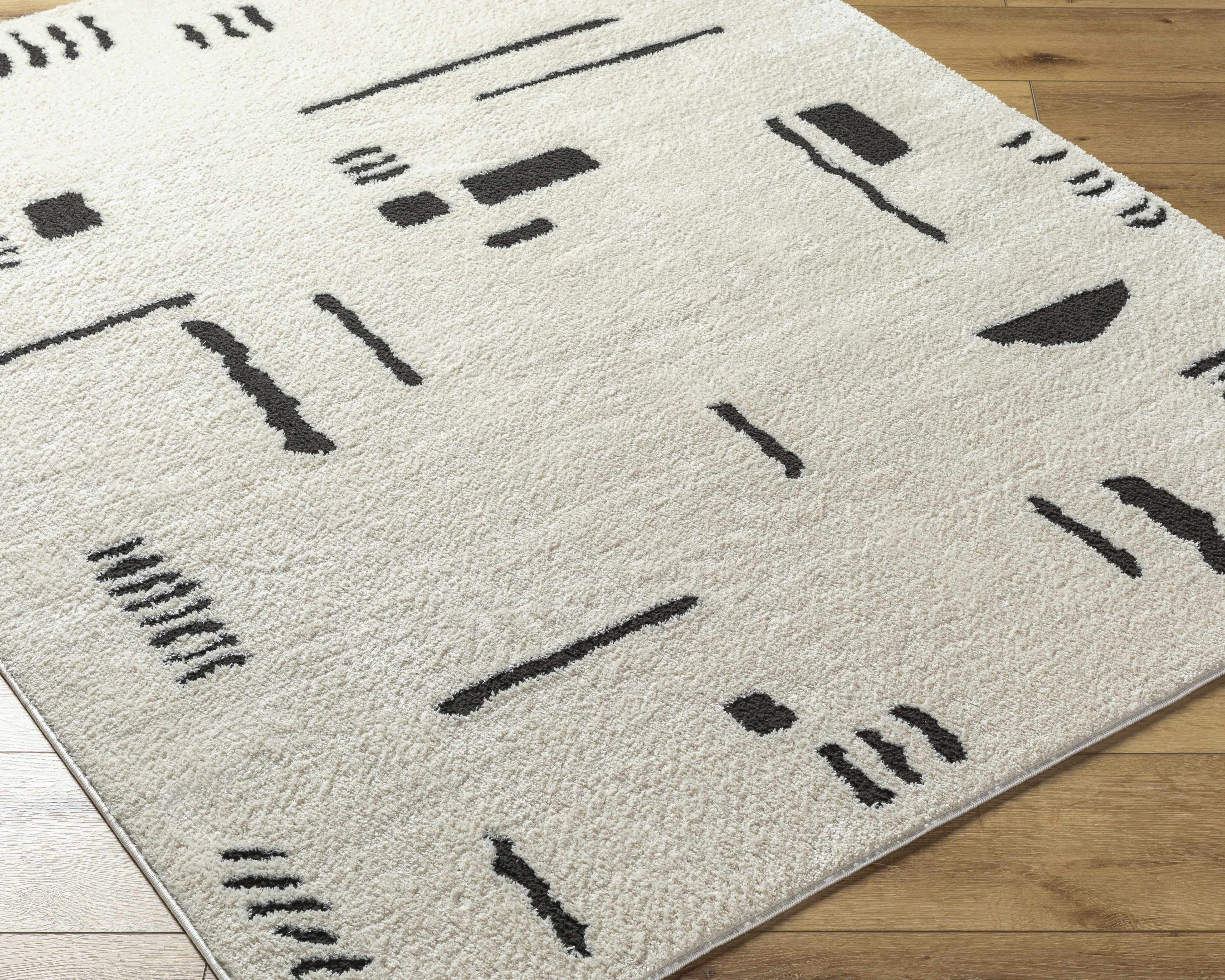 Winda Black & White Area Rug - Image 8