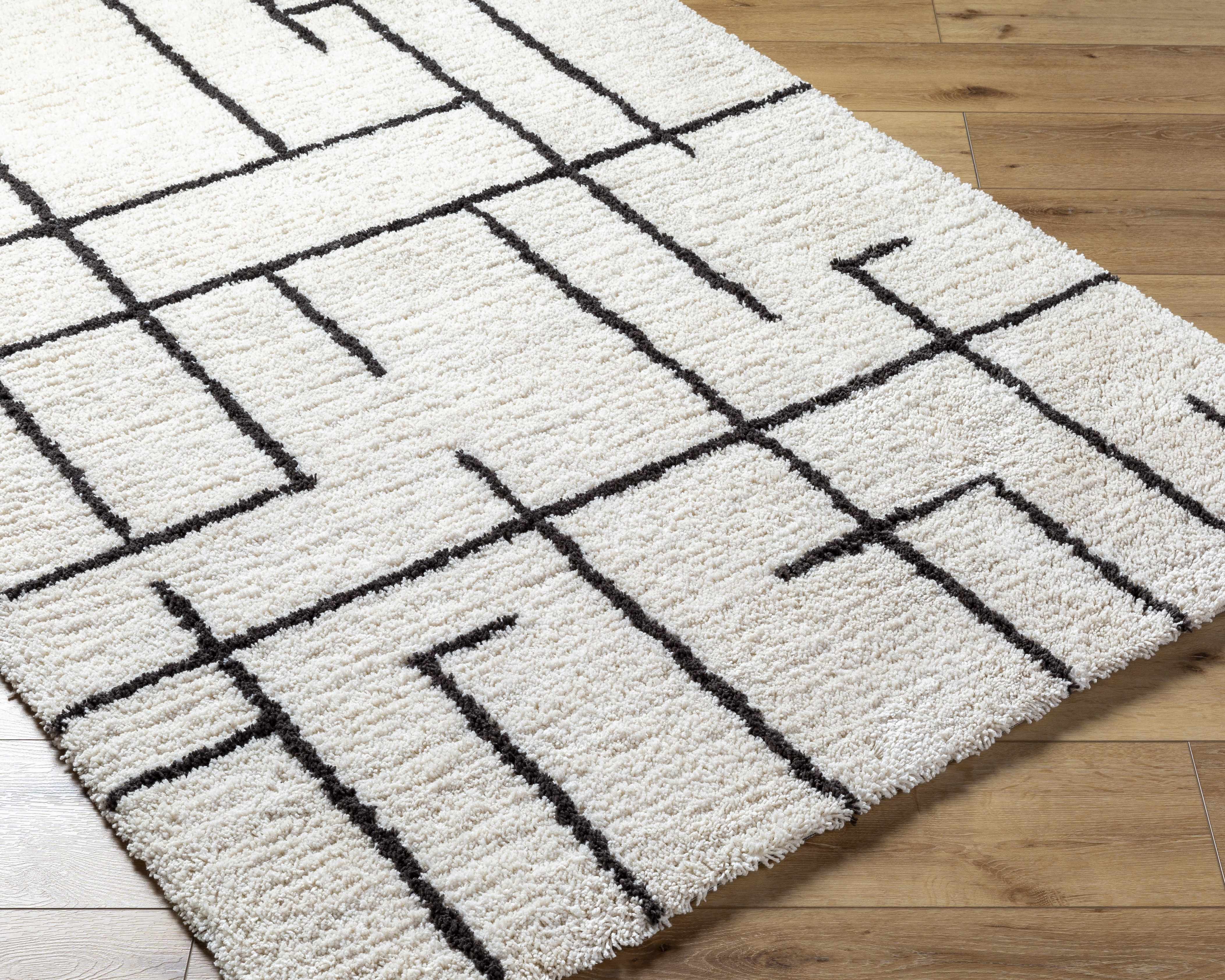 Xenos Area Rug - Image 3