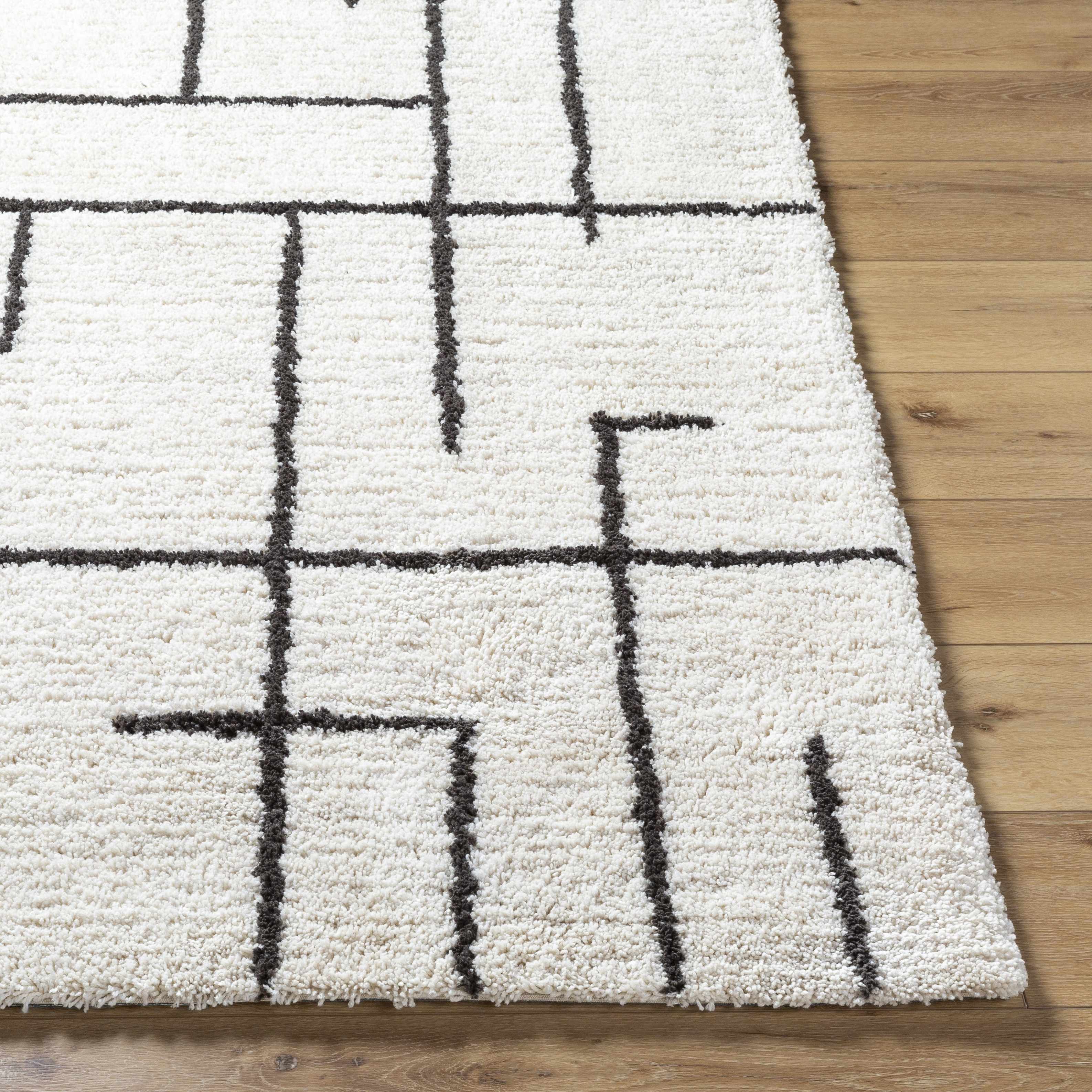 Xenos Area Rug - Image 4
