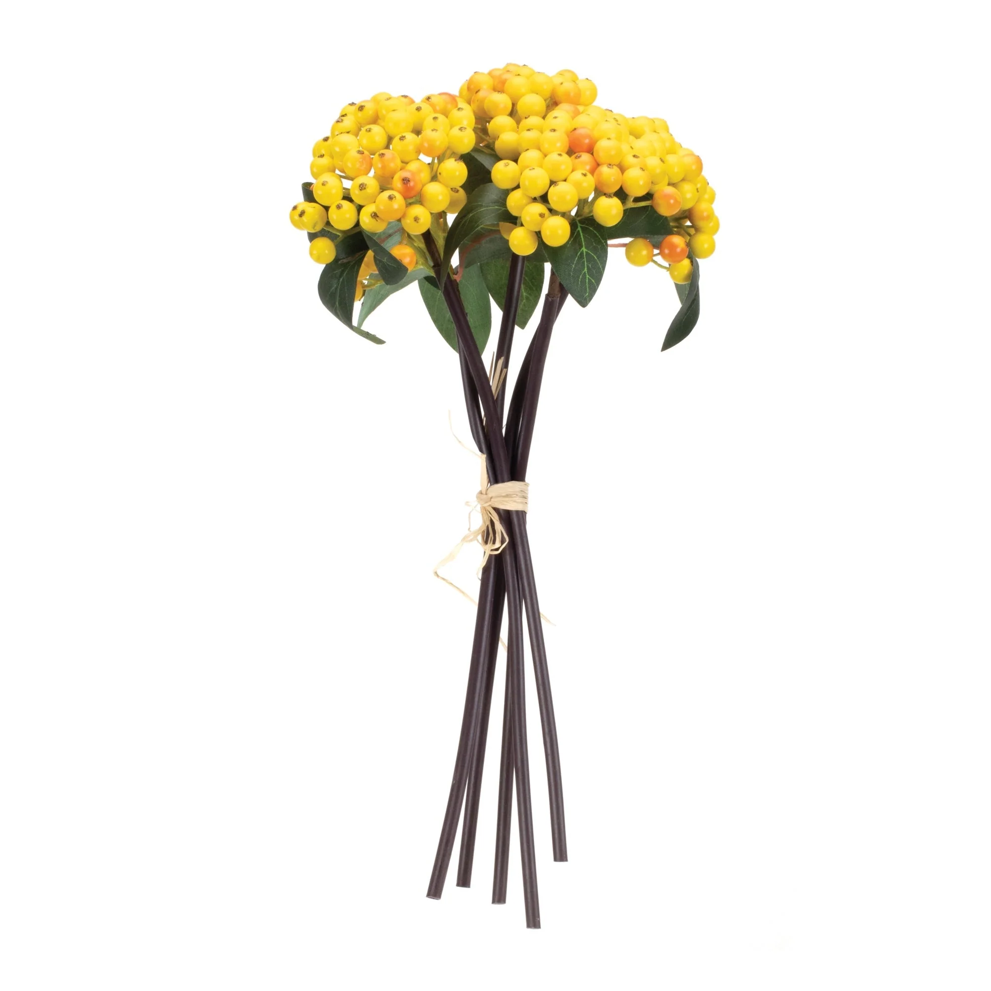 Yellow berry bundle (set of 2) - Image 2