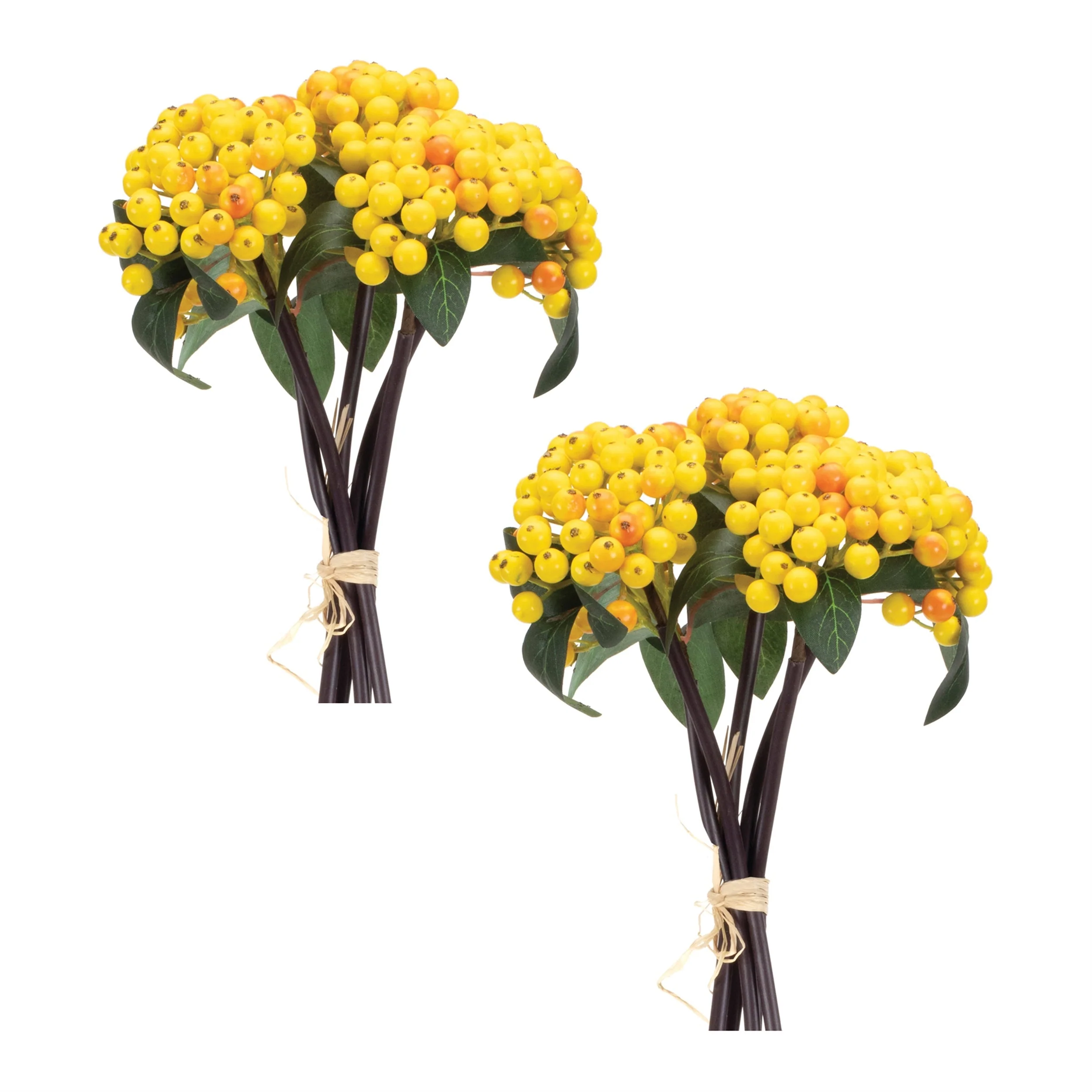 Yellow berry bundle (set of 2) - Image 3