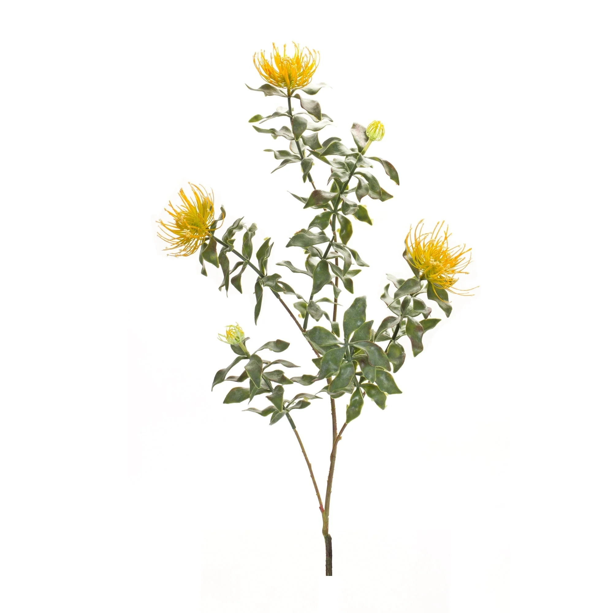 Yellow Flocked Protea Spray (Set of 6) - Image 2