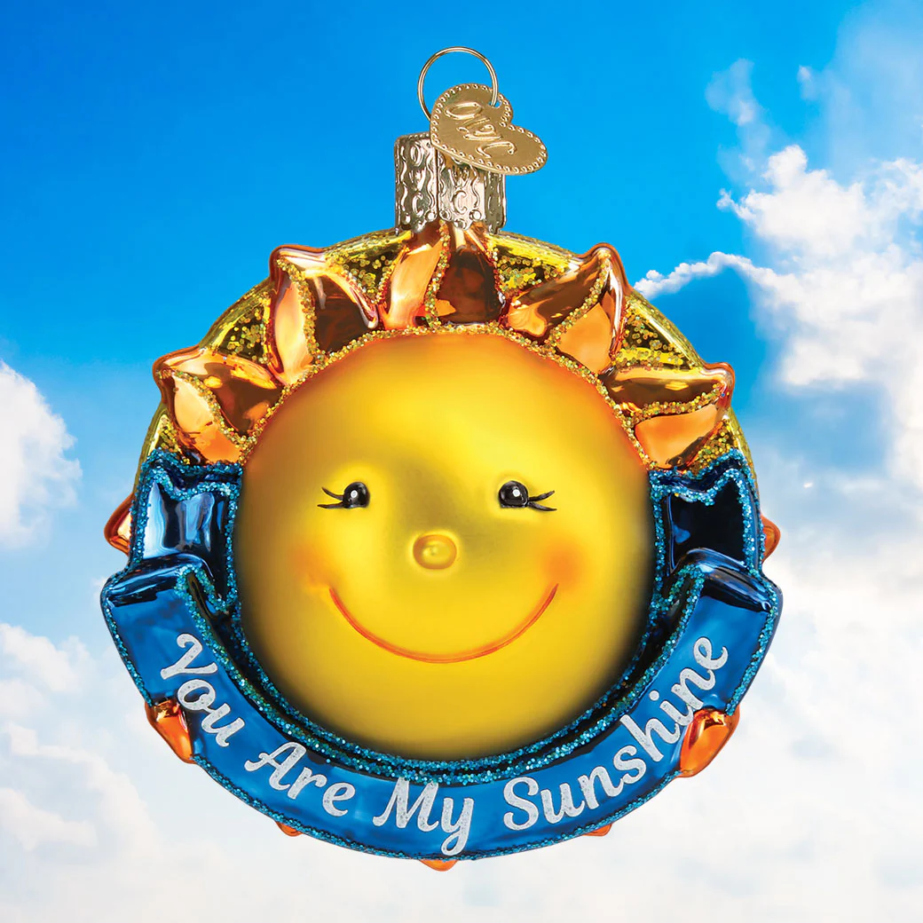 You Are My Sunshine Ornament - Image 6