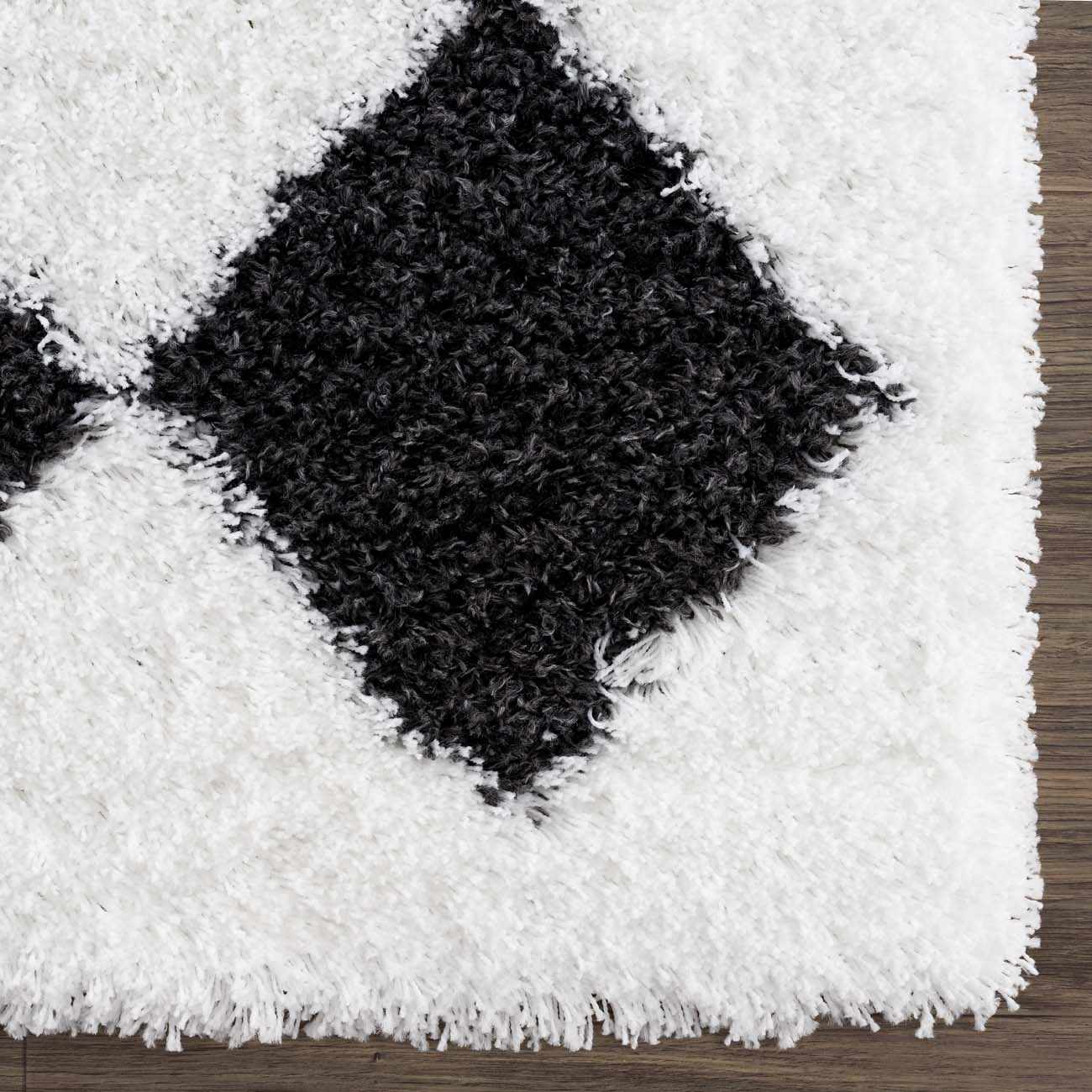 Zahur Black & White Diamond Area Rug - Image 8