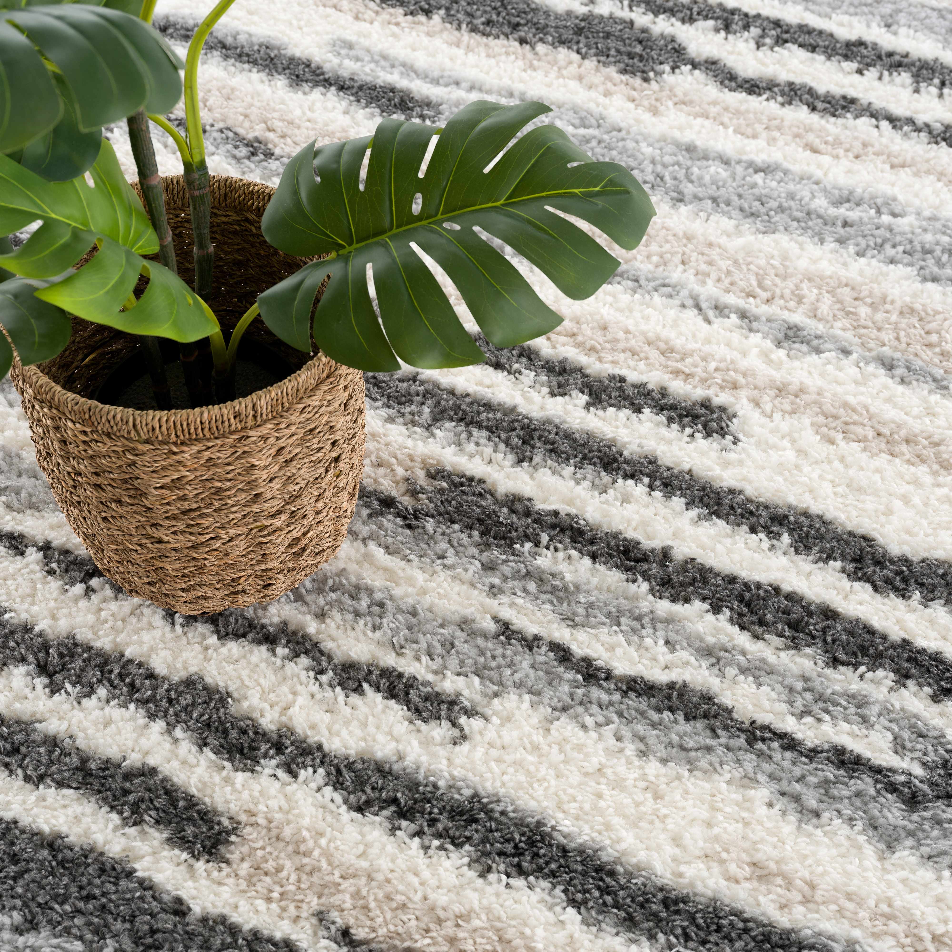 Zoya Irregular Striped Area Rug - Image 14